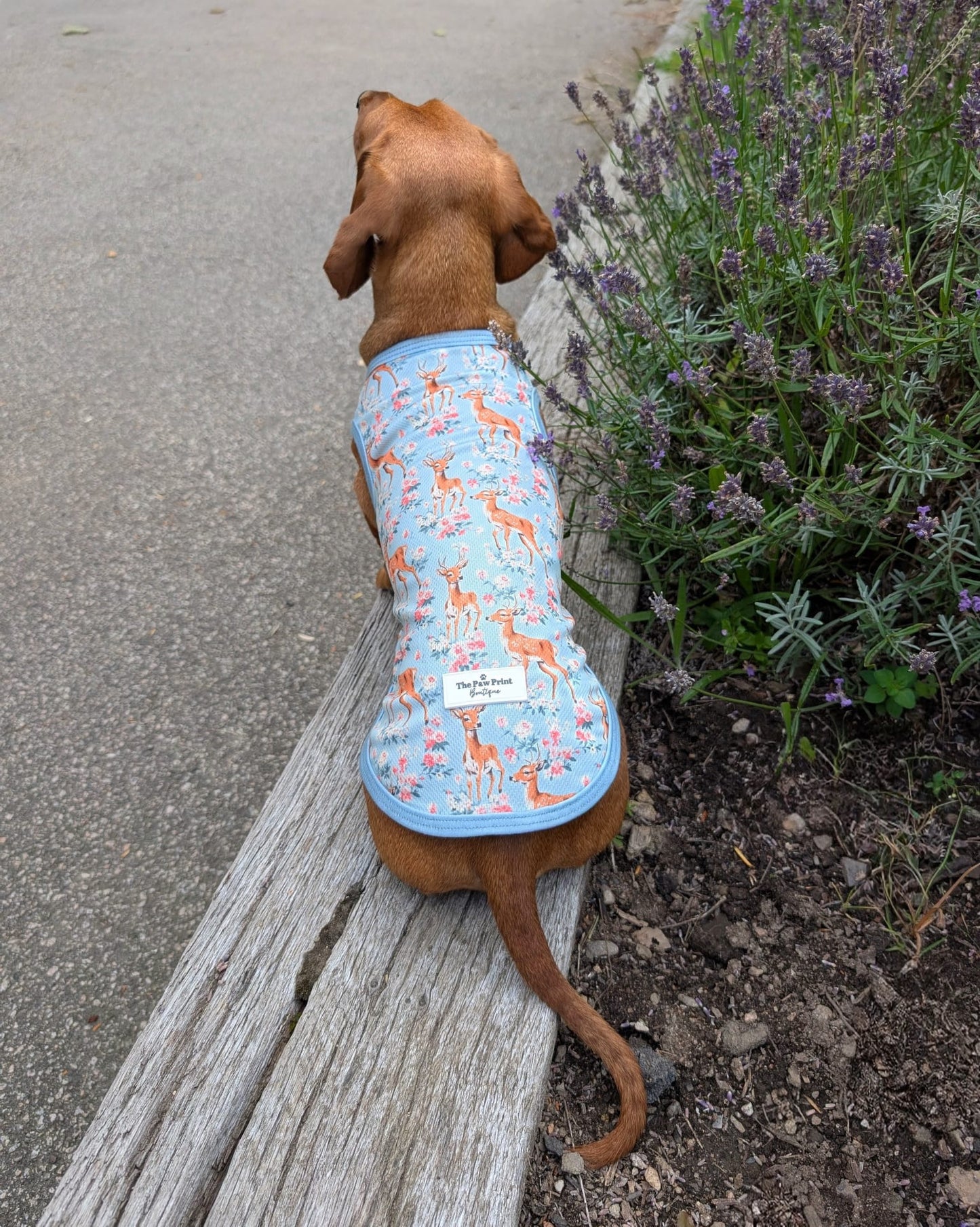 Bambi in Bloom Cooling Vest