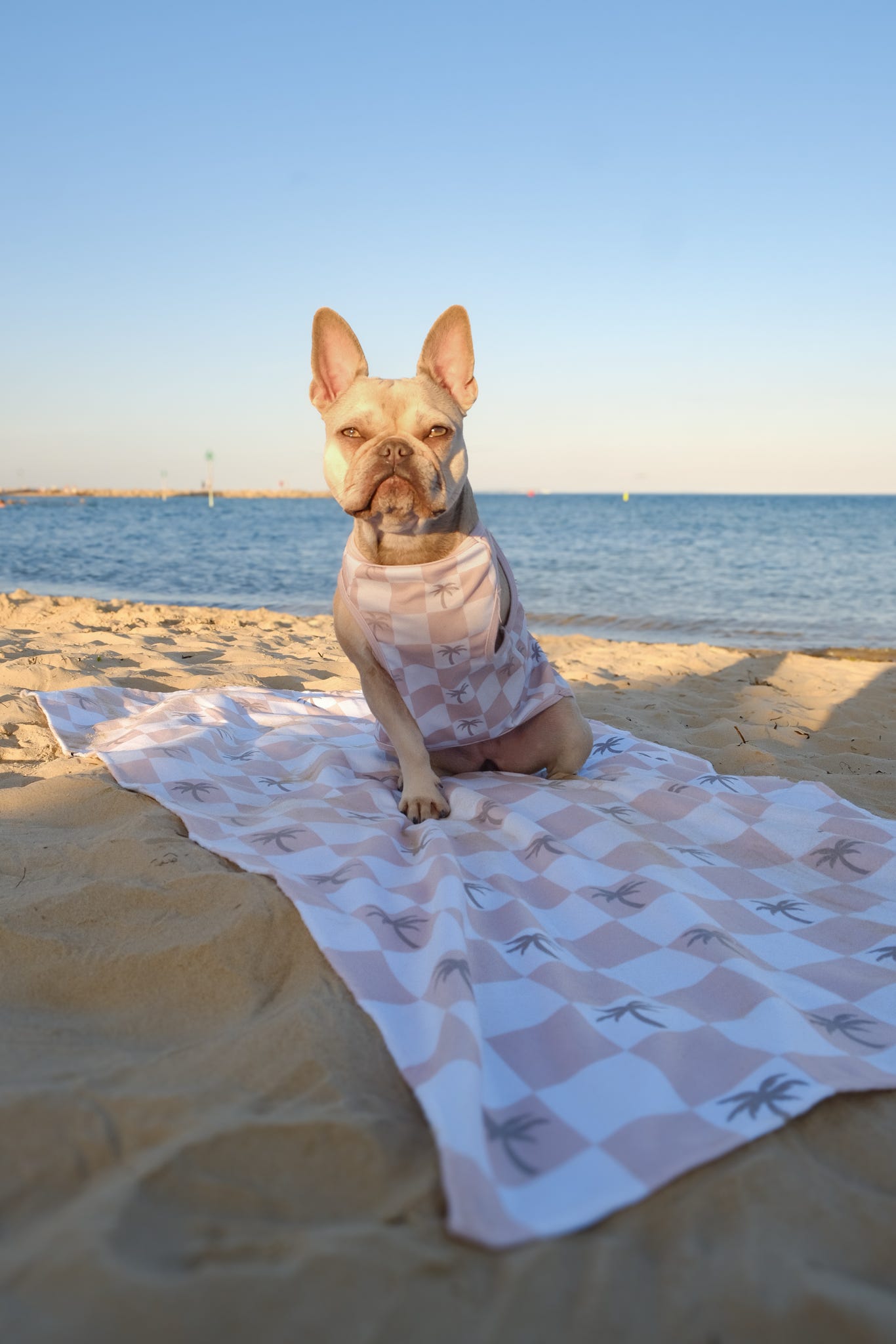 Palm Spring Beach Towel