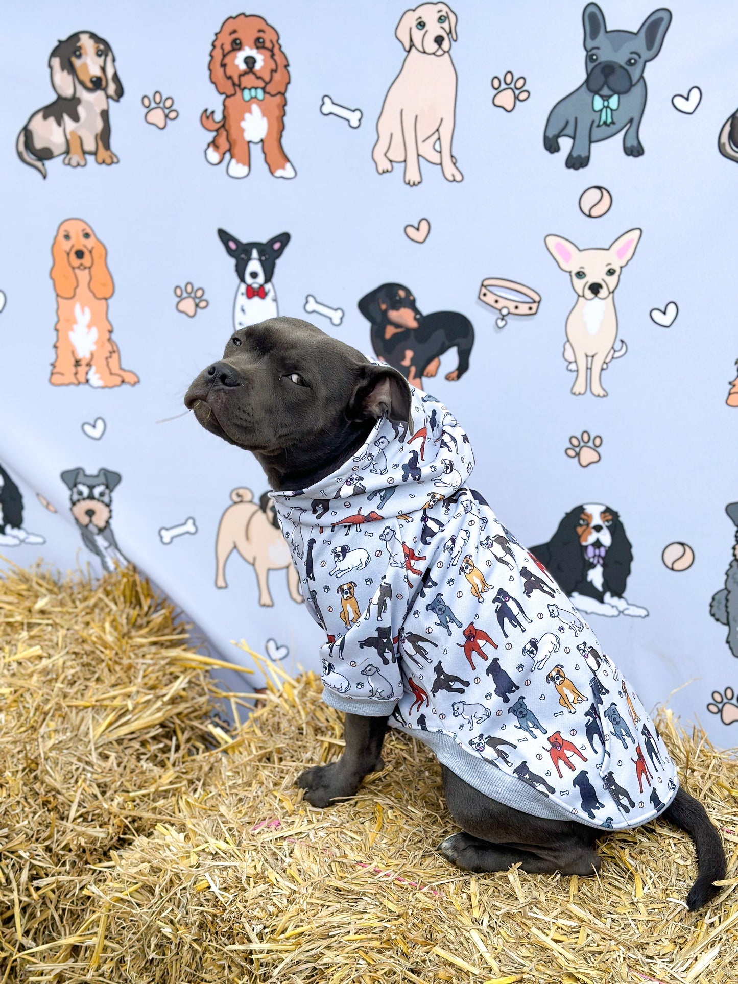 The Staffy Dog Hoodie - All Over Print