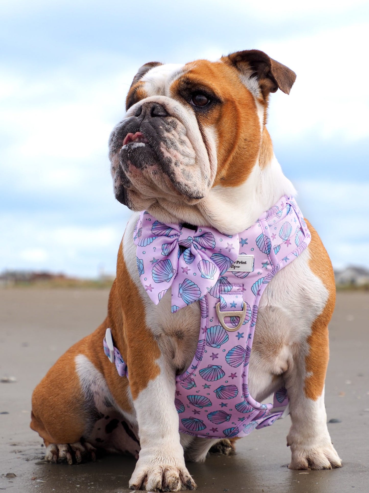 Mermaids Tails Bow Tie