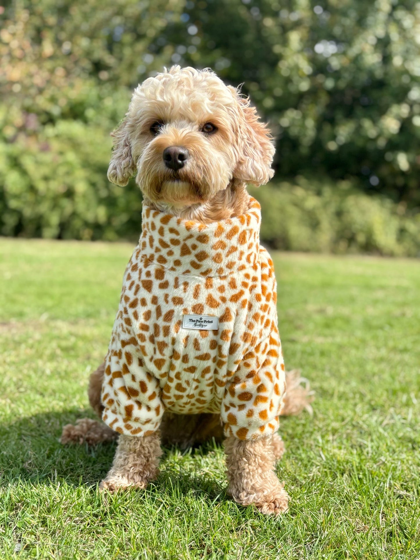 The Giraffe Print Fluffy & Fabulous Fleece