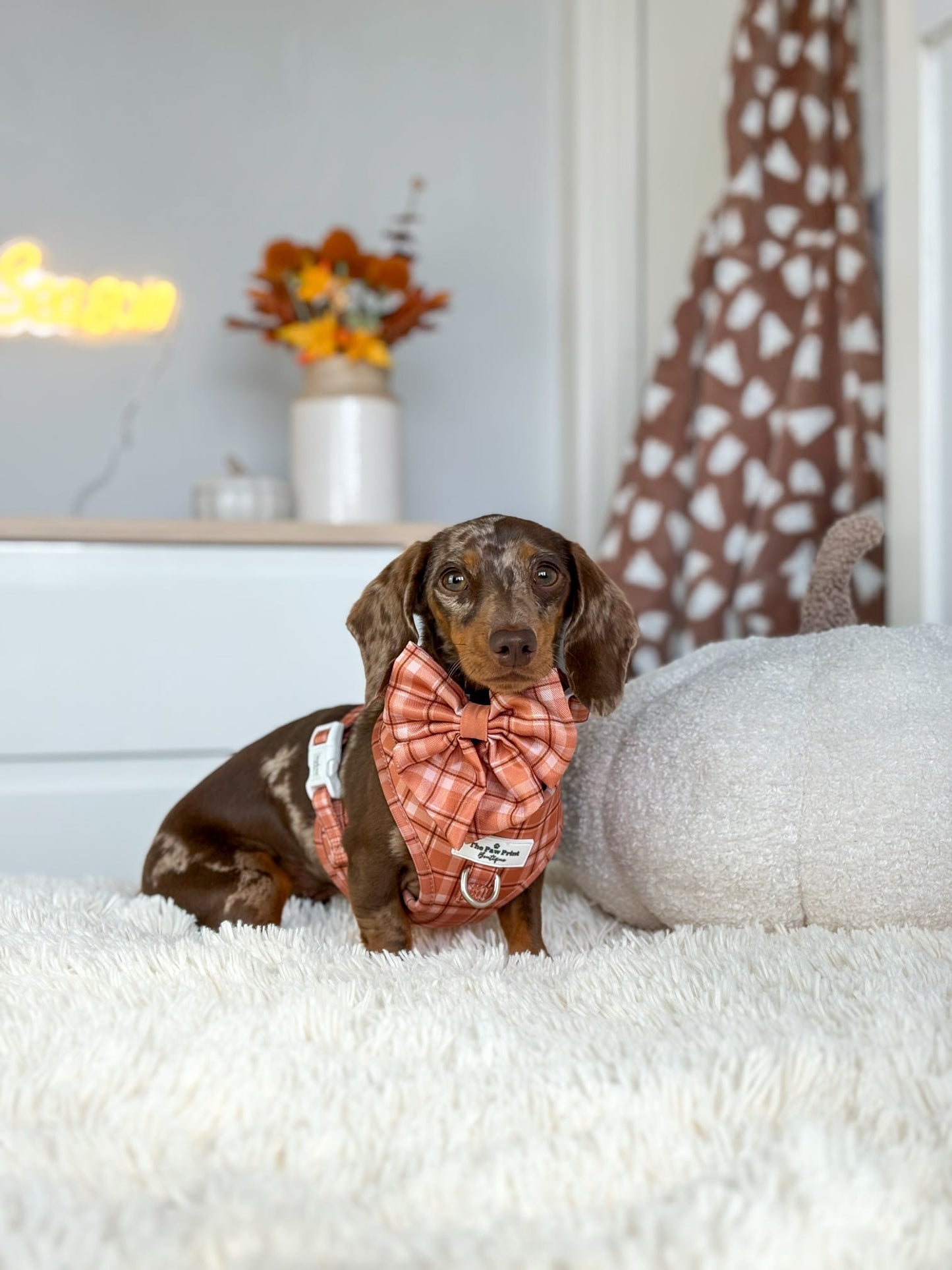 Pooches in Plaid Adjustable Harness