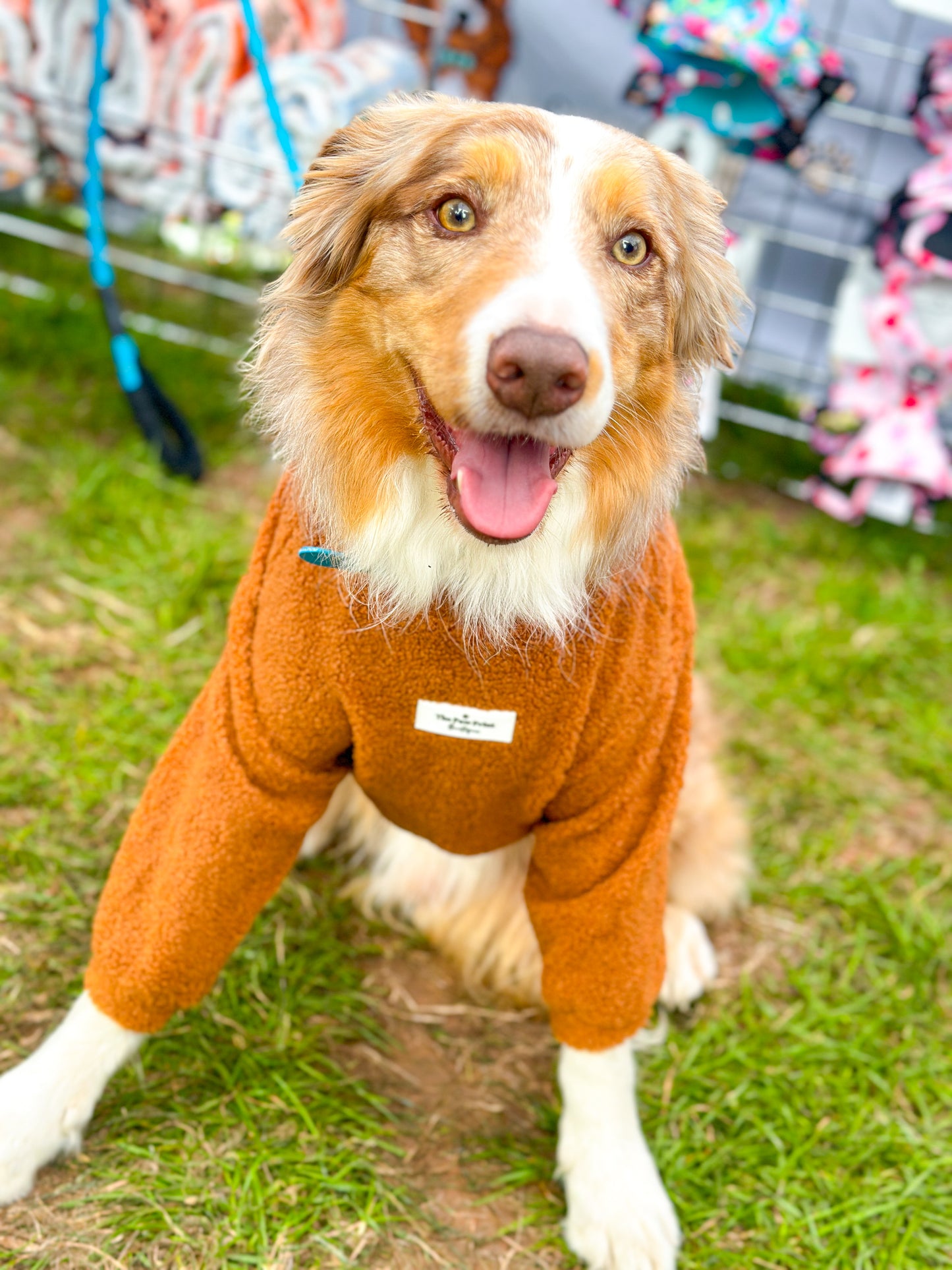The Gingerbread Teddy Fleece