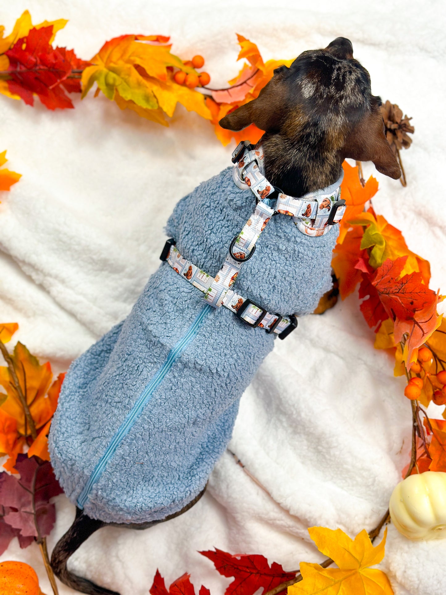 Teddy Fleece - Dusky Blue