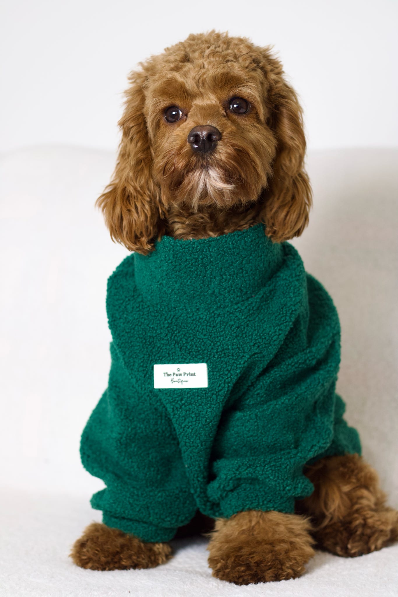 Teddy Fleece - Forest Green