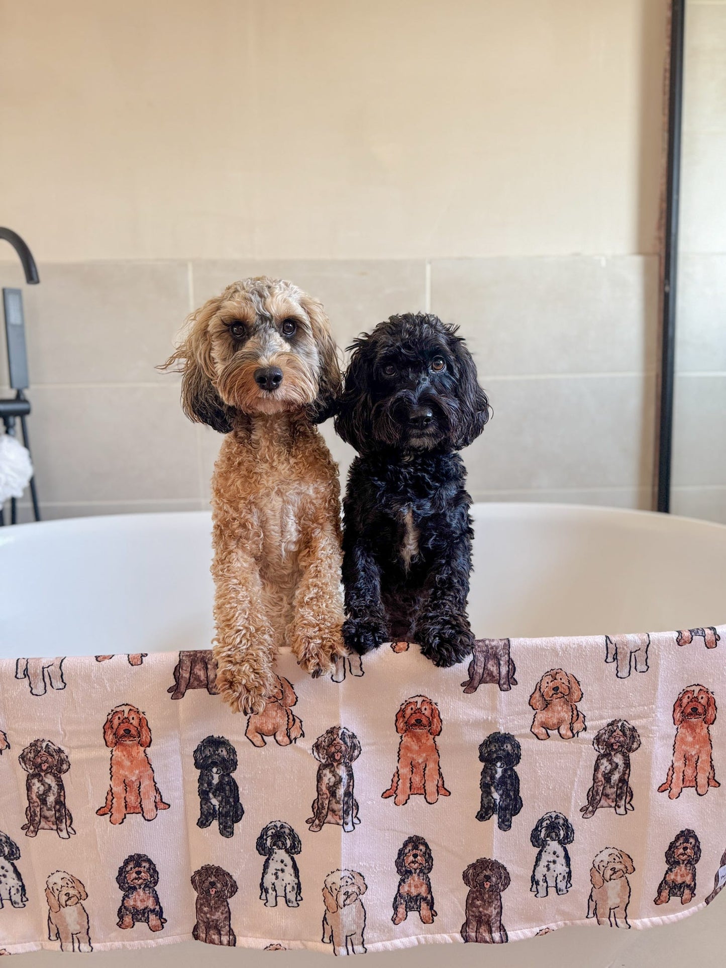 The Oodles & Doodles Dog Towel