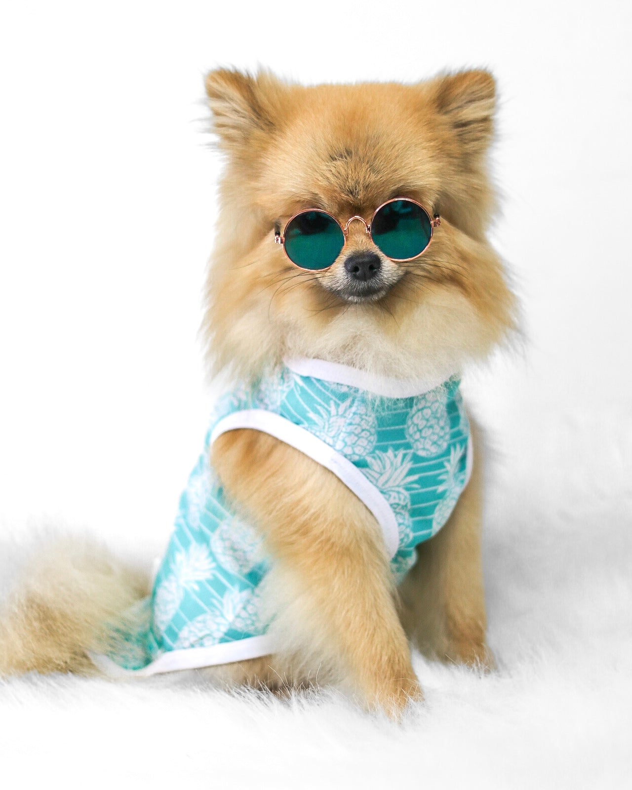 The Pineapple Pawty Cooling Vest