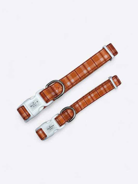 Pooches in Plaid Collar