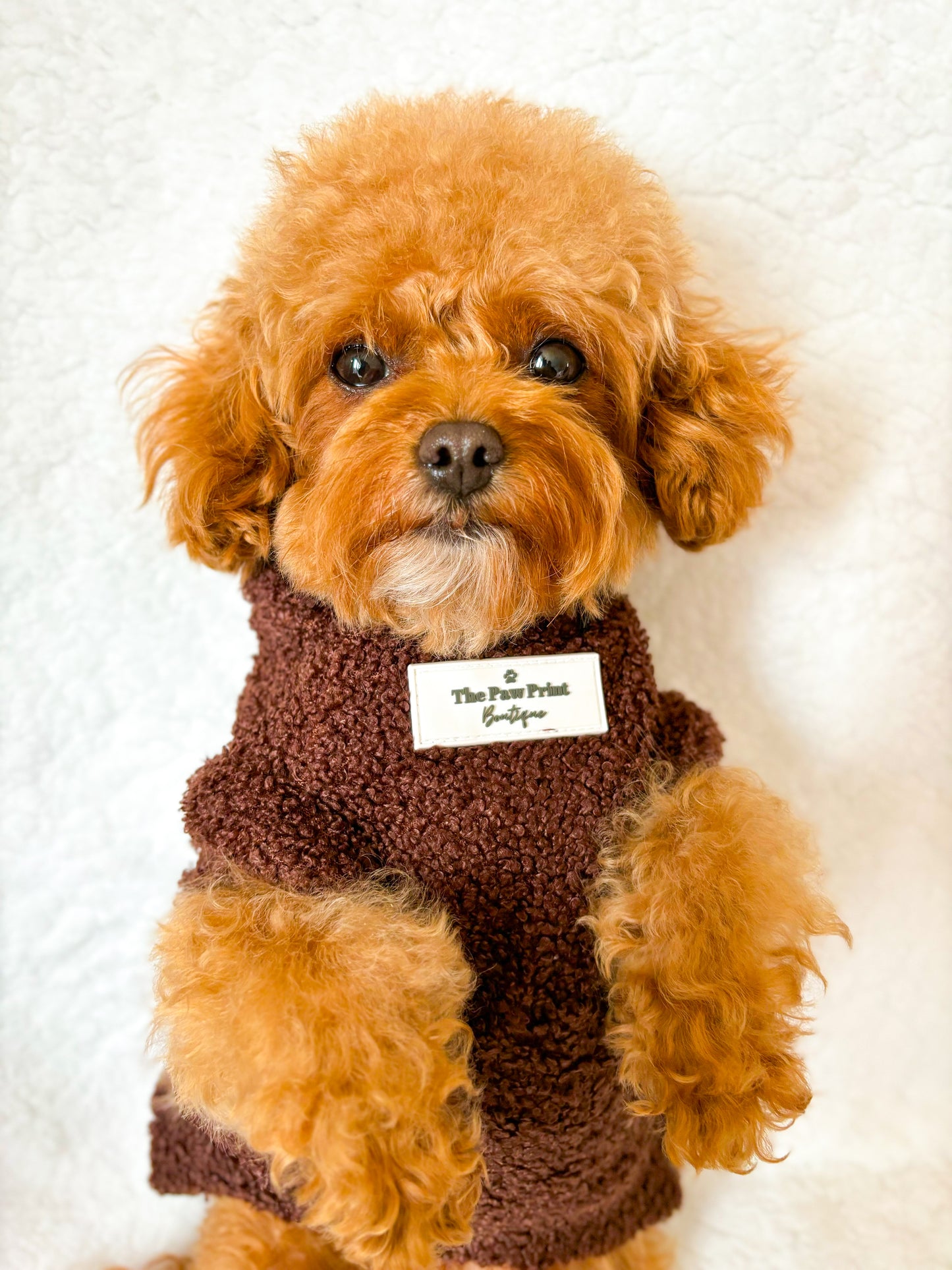 Teddy Fleece - Chocolate