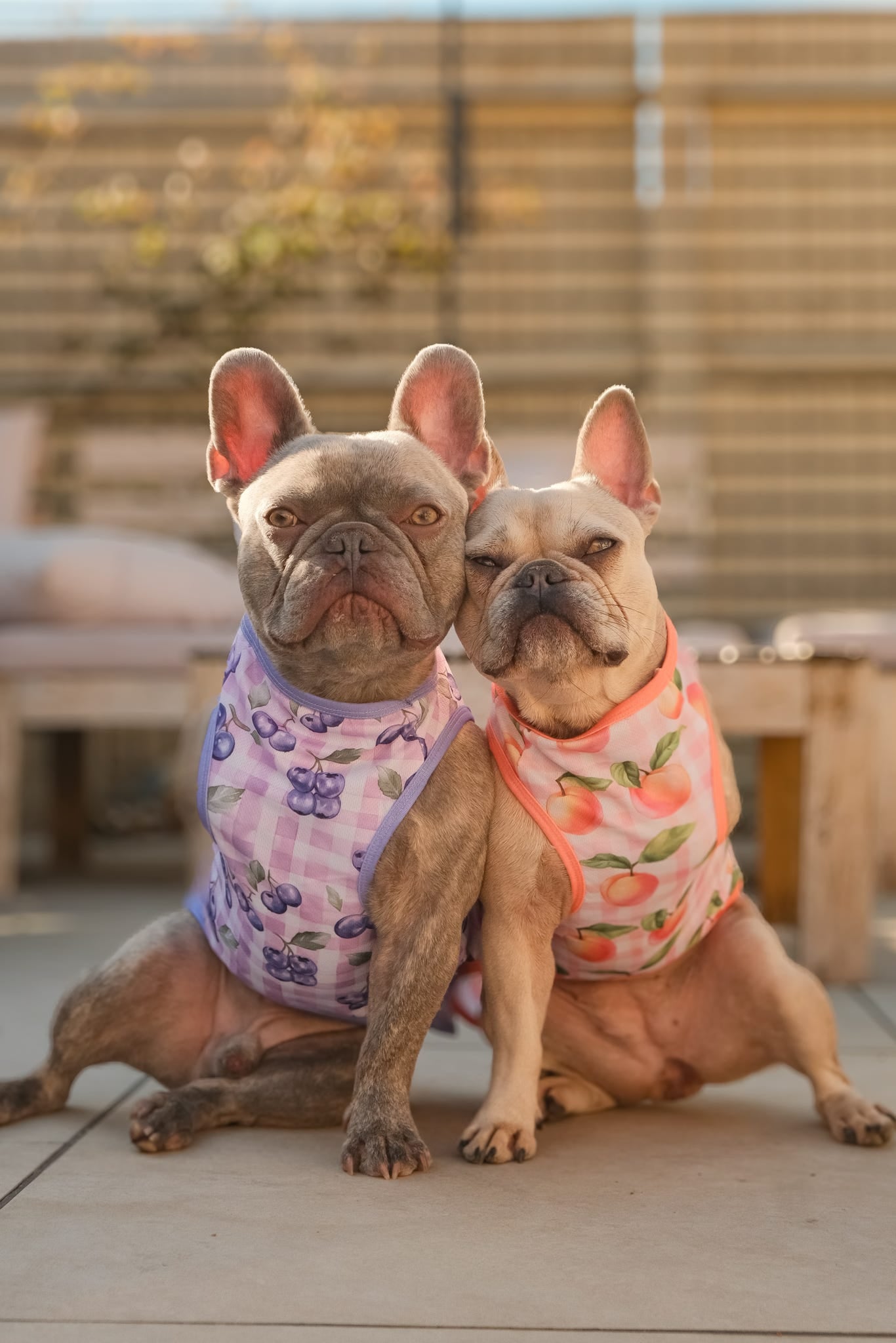The Peach Gingham Cooling Vest