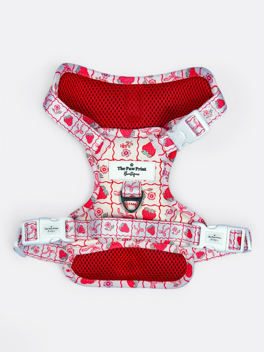 The Bows & Berries Adventure Paws Harness
