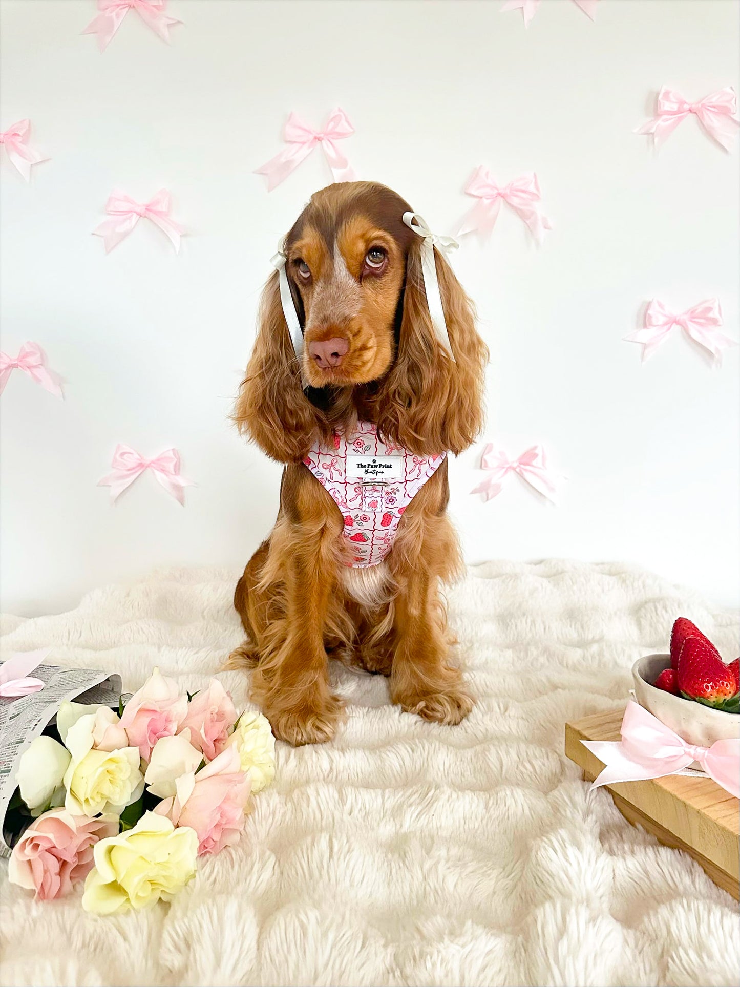 The Bows & Berries Adjustable Harness