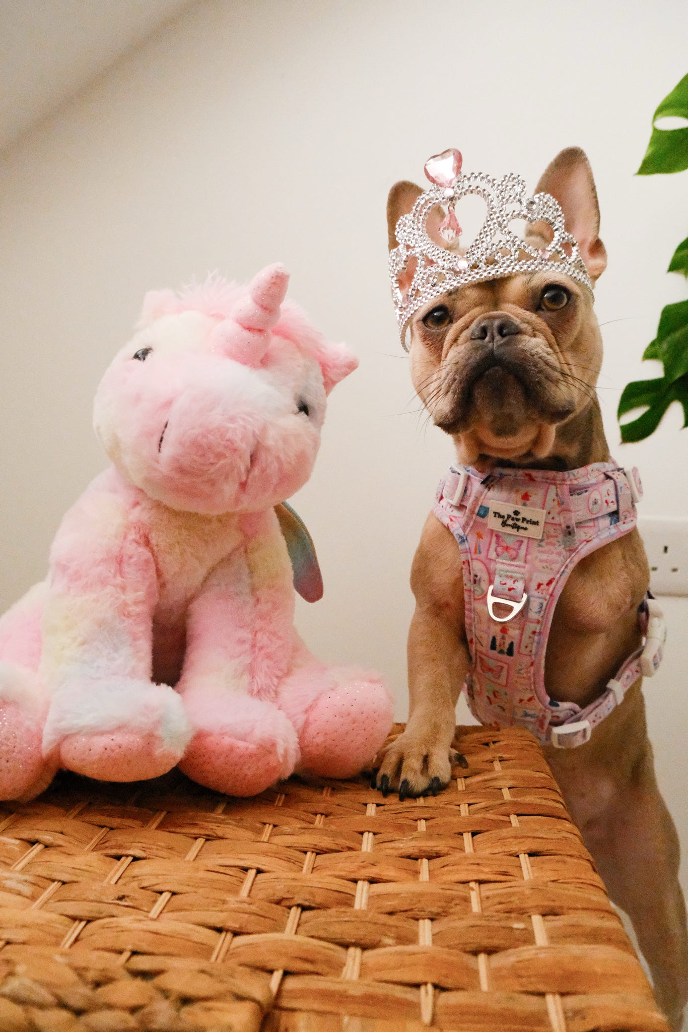 Once Upon a Pup Adventure Paws Harness