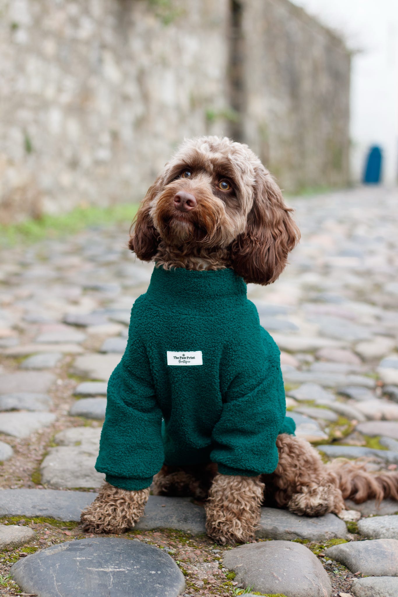 Teddy Fleece - Forest Green