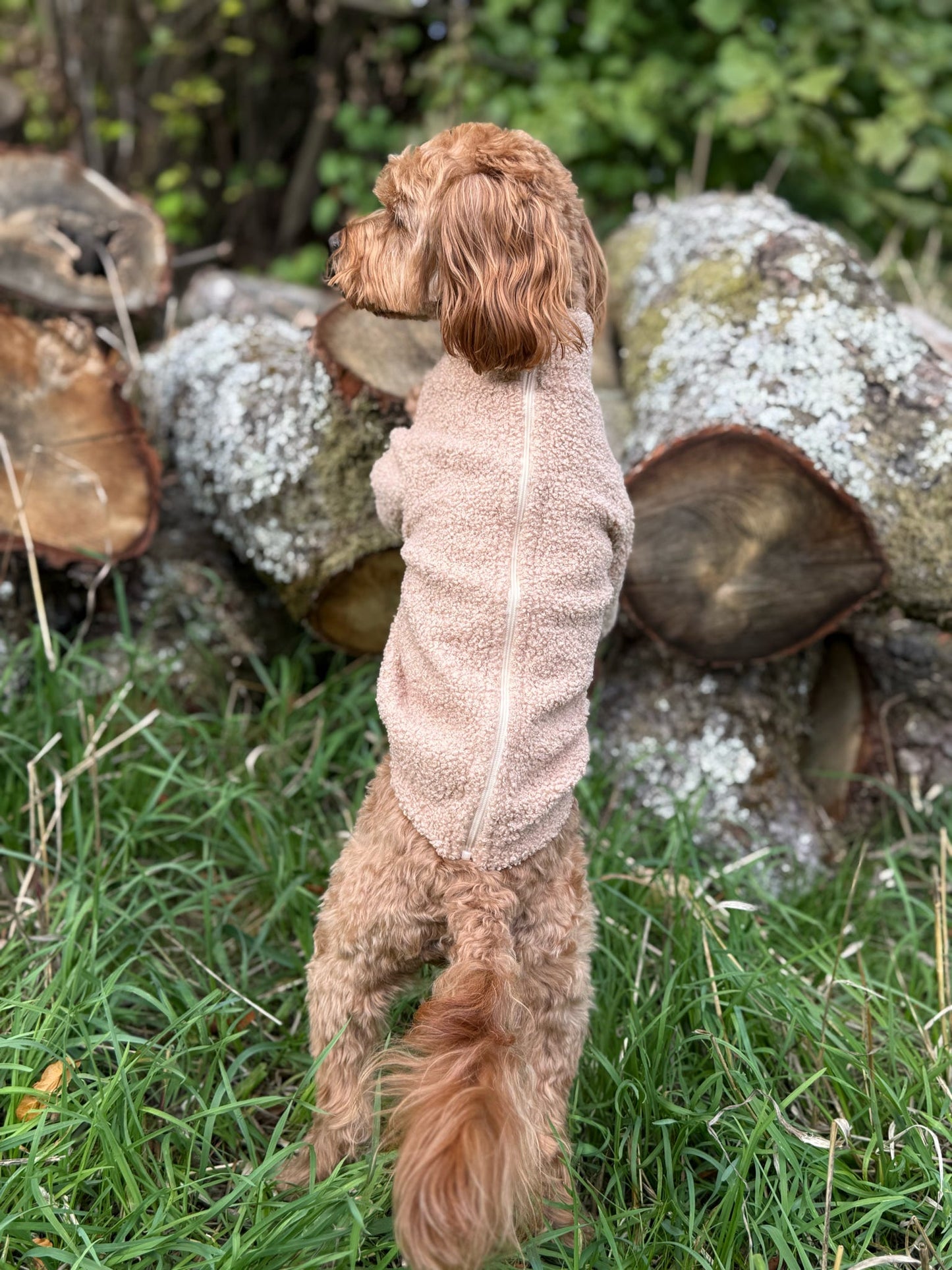 Teddy Fleece - Biscuit