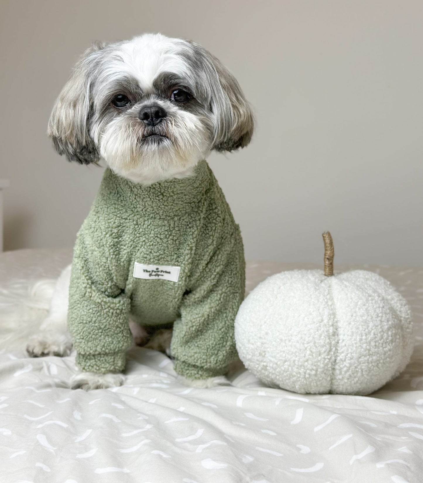 Teddy Fleece - Sage Green