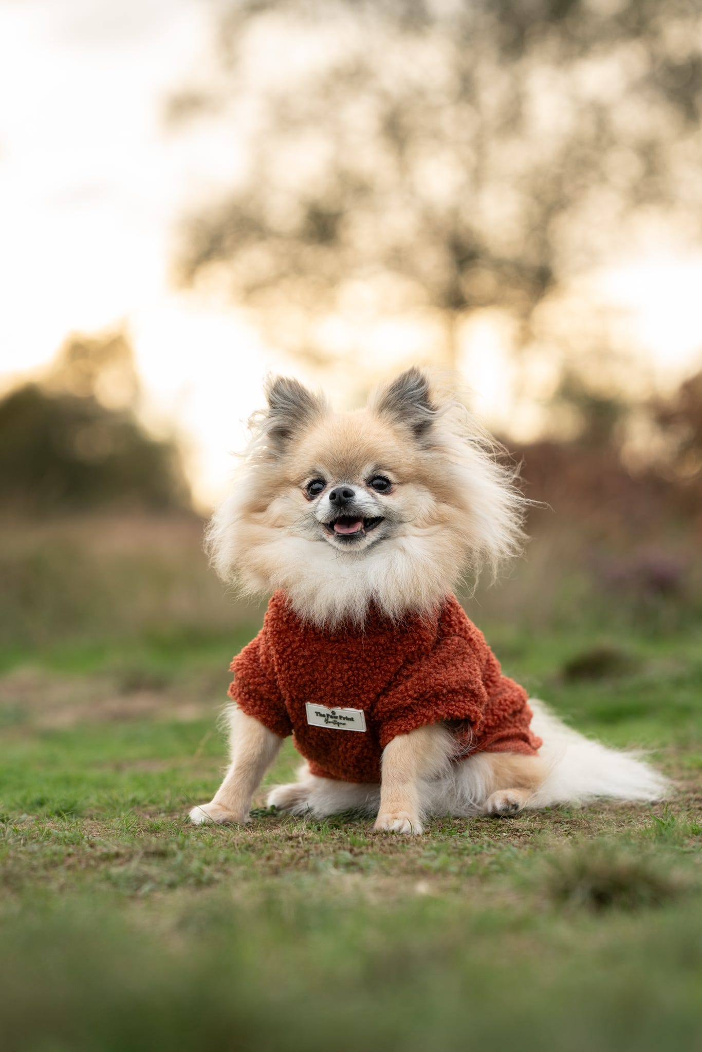 Teddy Fleece - Burnt Orange