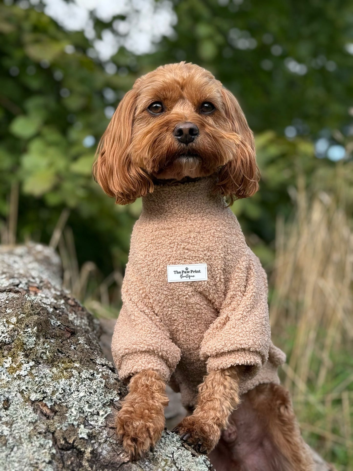 Teddy Fleece - Biscuit