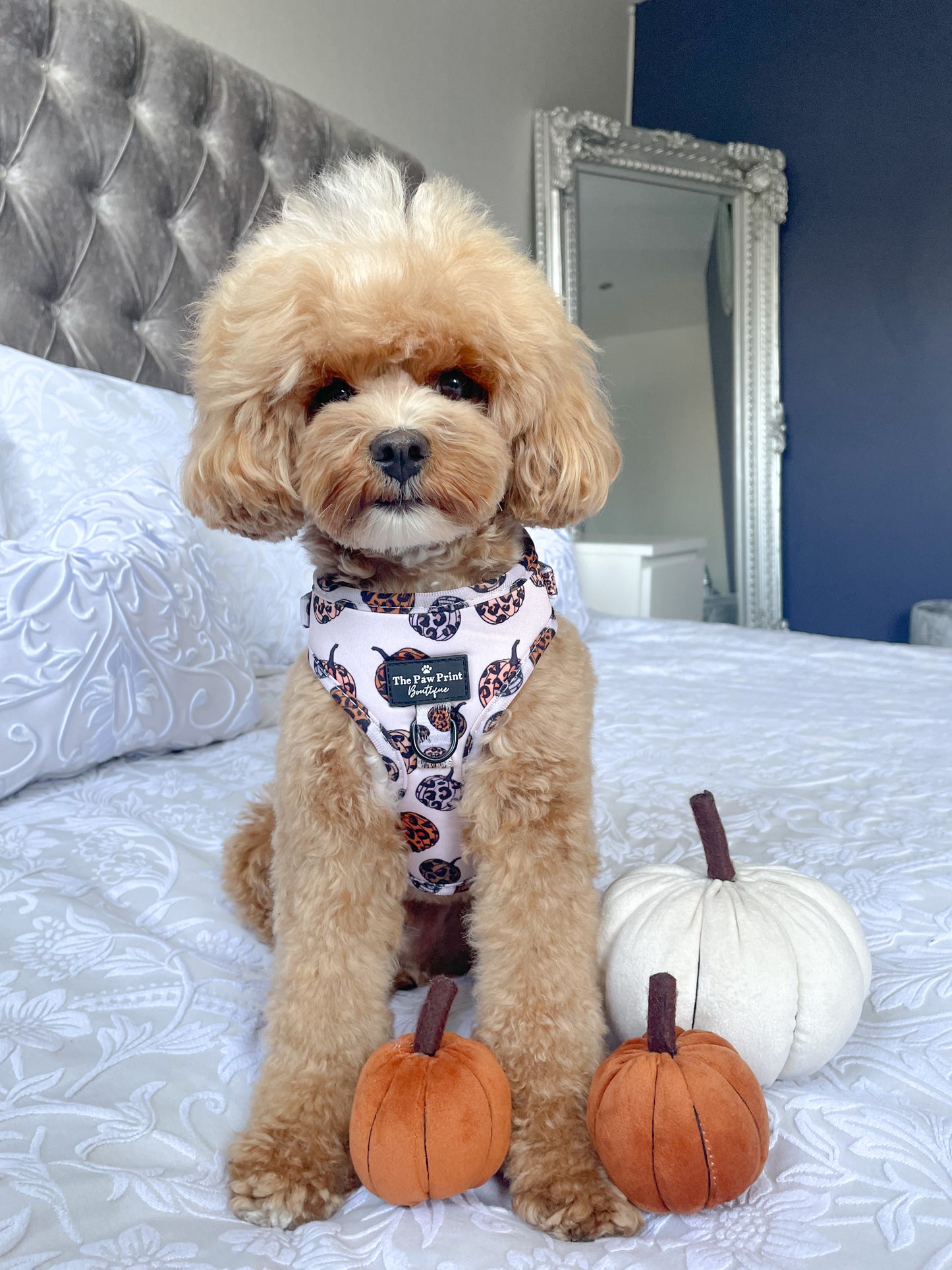 The Leopawrd Pupkins Adjustable Harness