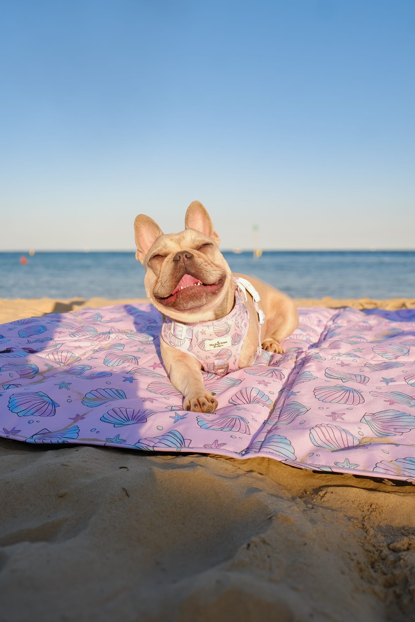 Mermaids Tails Picnic Mat