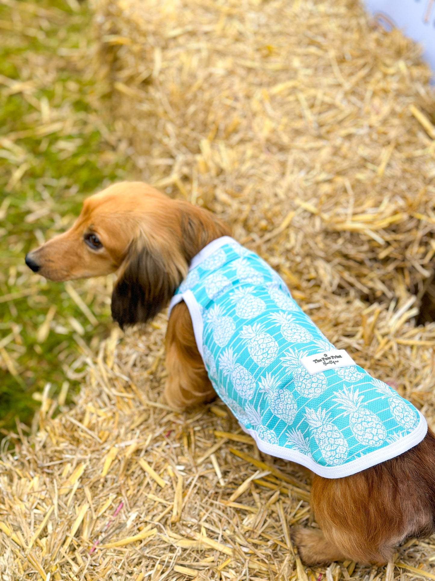 The Pineapple Pawty Cooling Vest