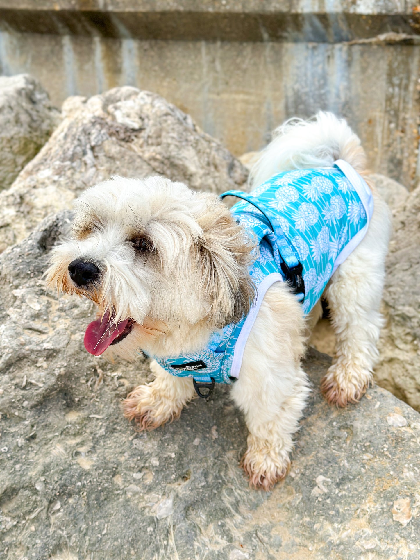 The Pineapple Pawty Cooling Vest