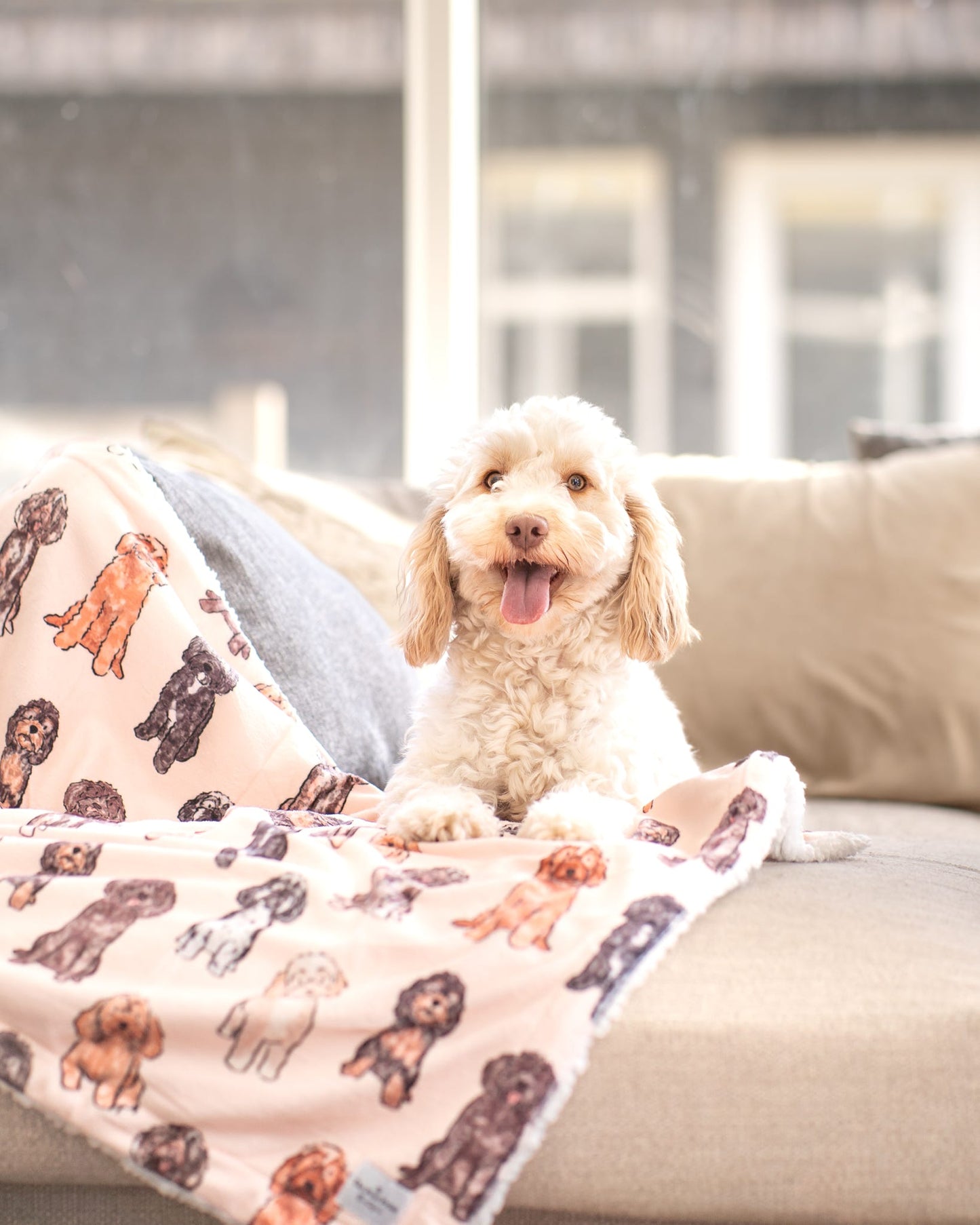 The Oodles & Doodles Dog Blanket