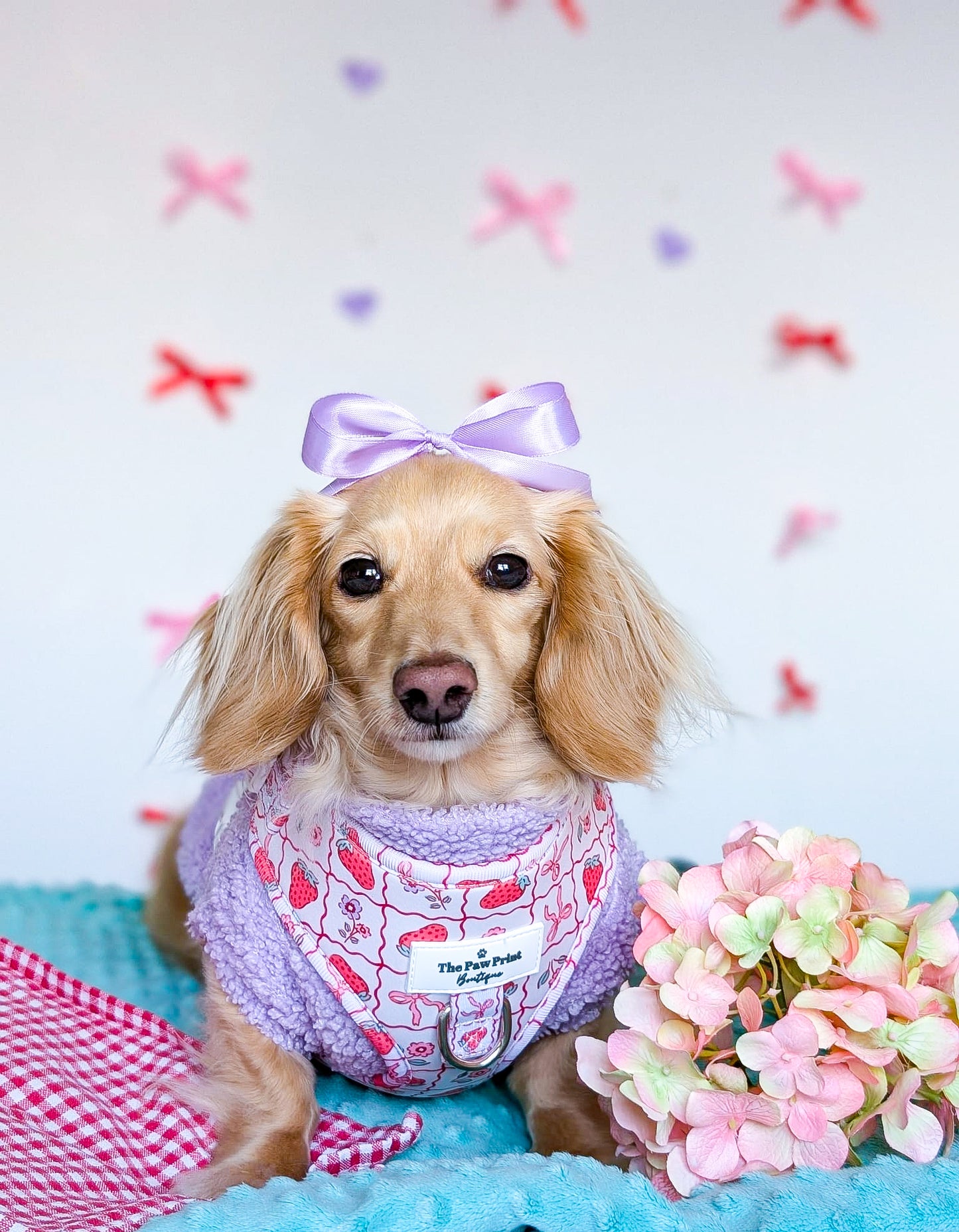 The Bows & Berries Adjustable Harness