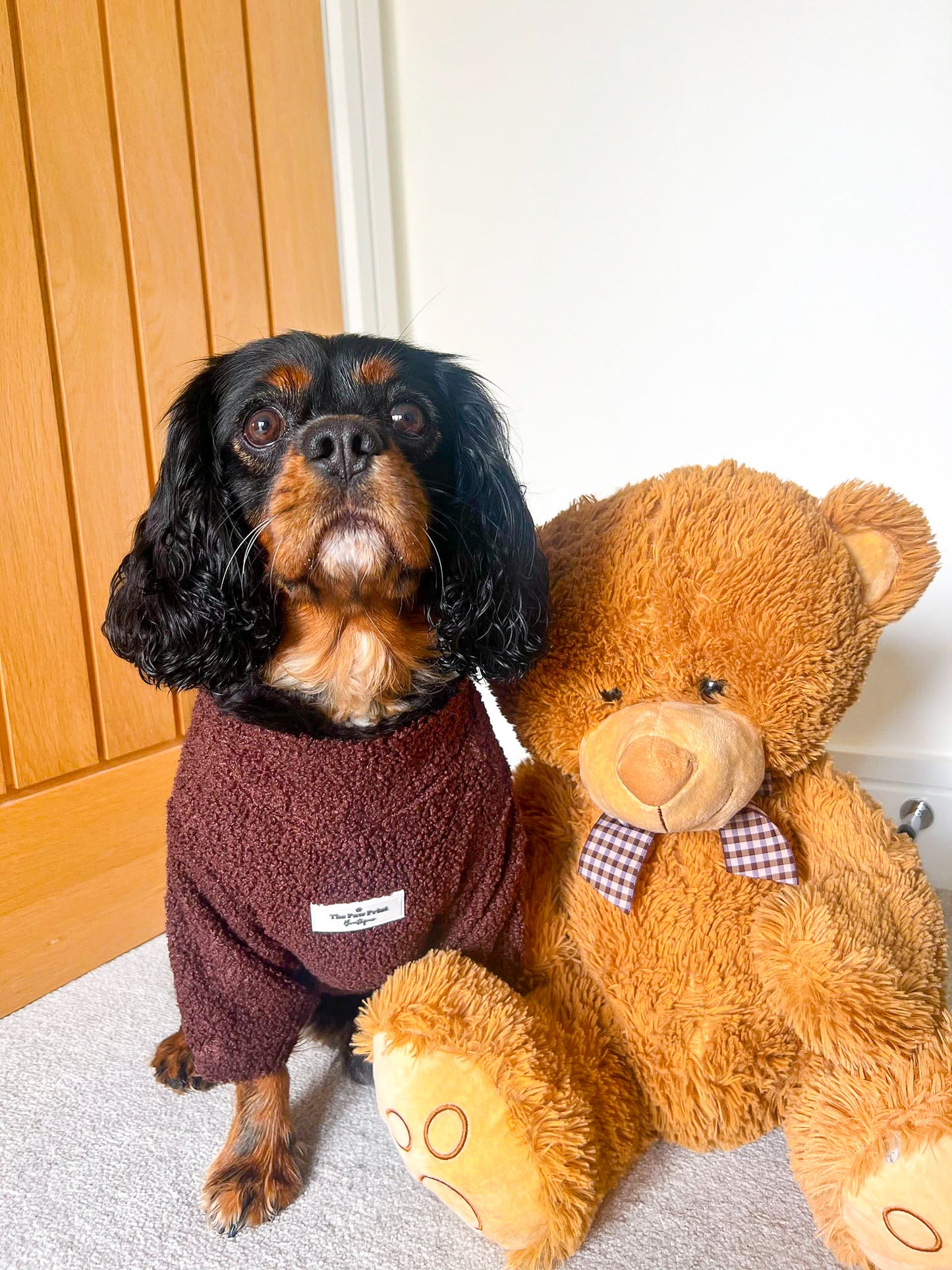 Teddy Fleece - Chocolate