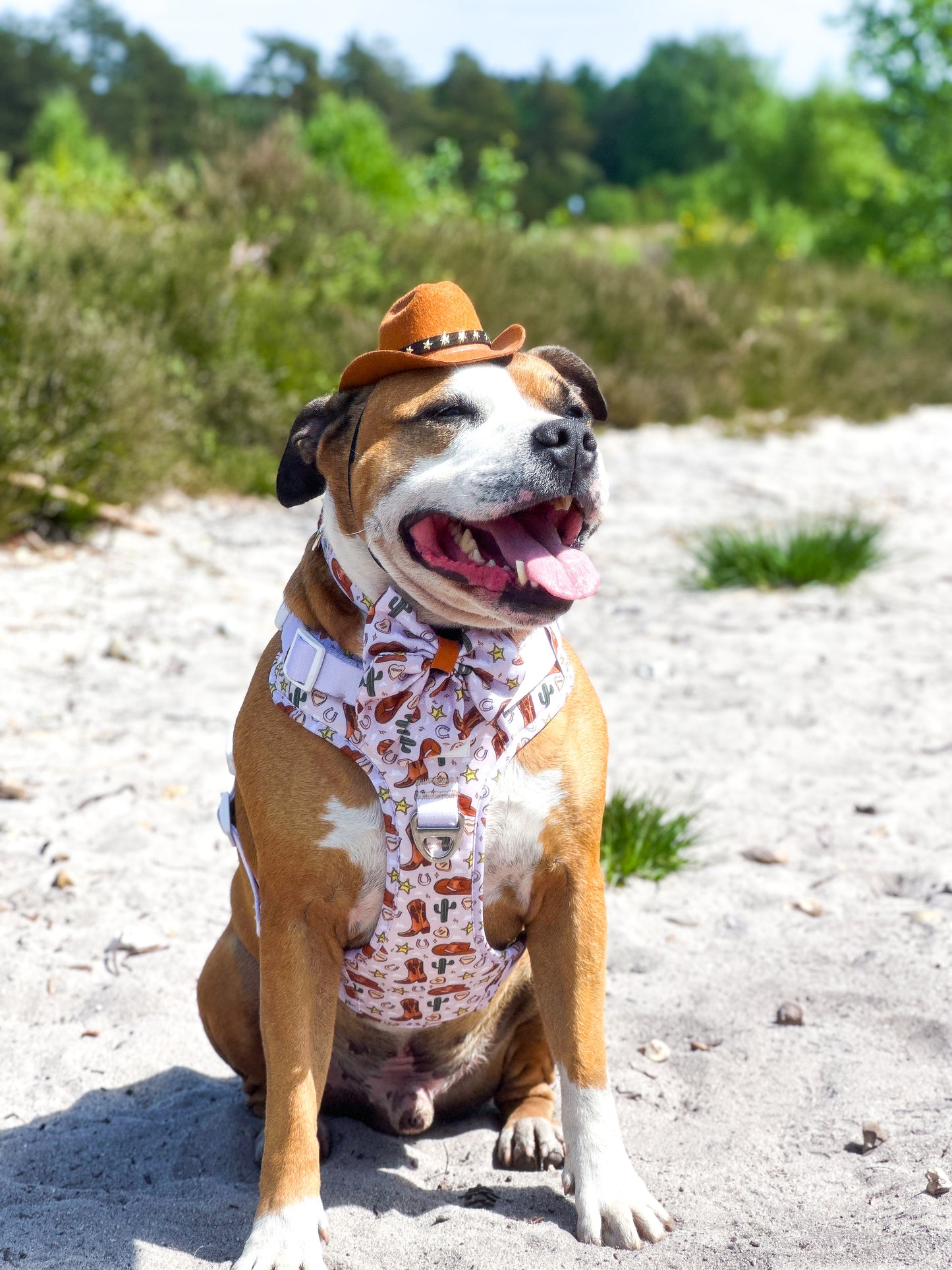 The Howdy Pawtner Adventure Paws Harness