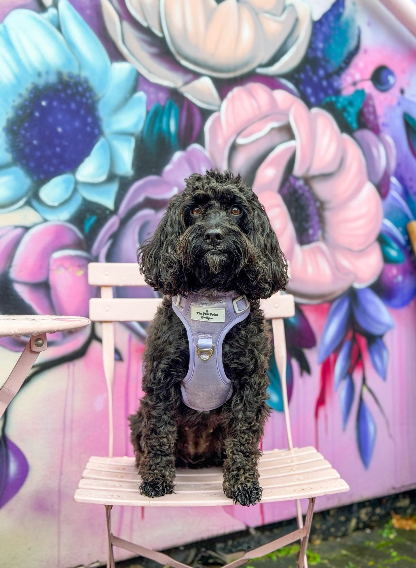 The Lavish Lilac Adventure Paws Harness