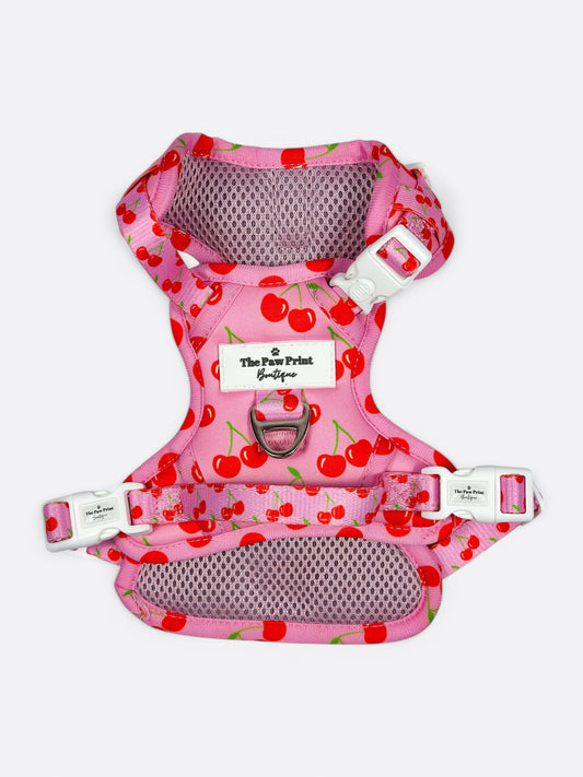 Cherry on Top Adventure Paws Harness