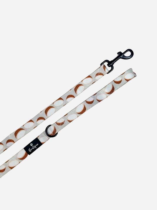 The Pina Pawlada Lead