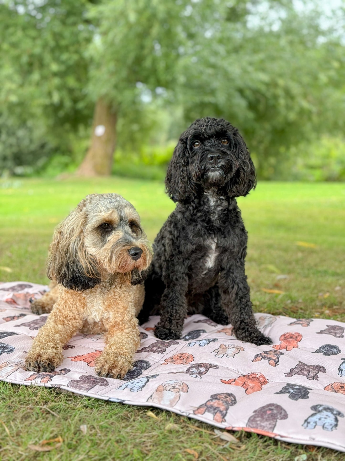 The Oodles & Doodles Travel Mat
