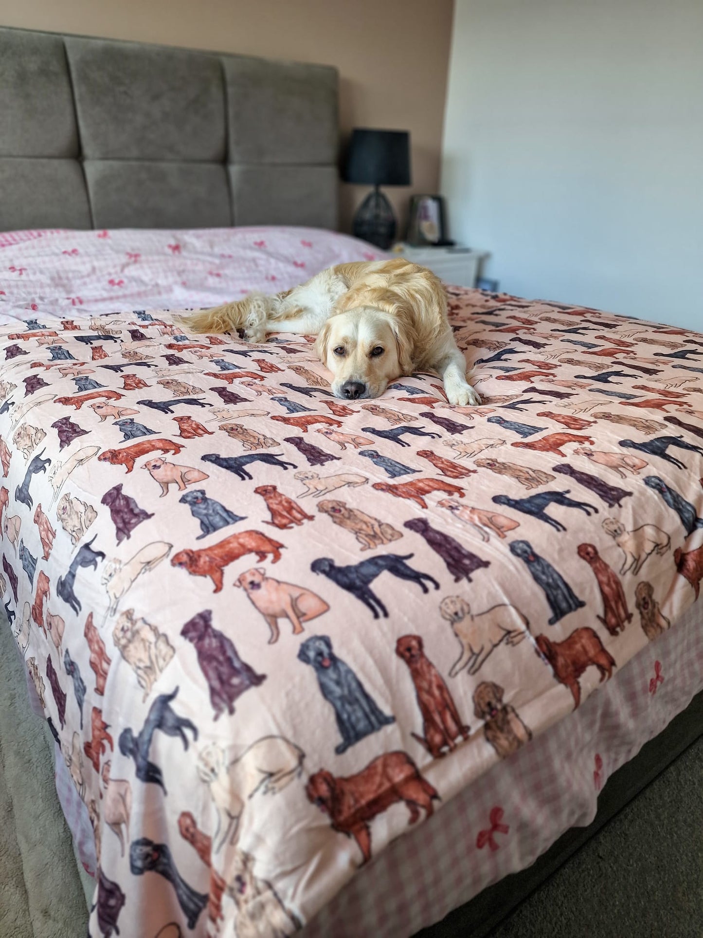 The Labrador / Retriever Human Blanket