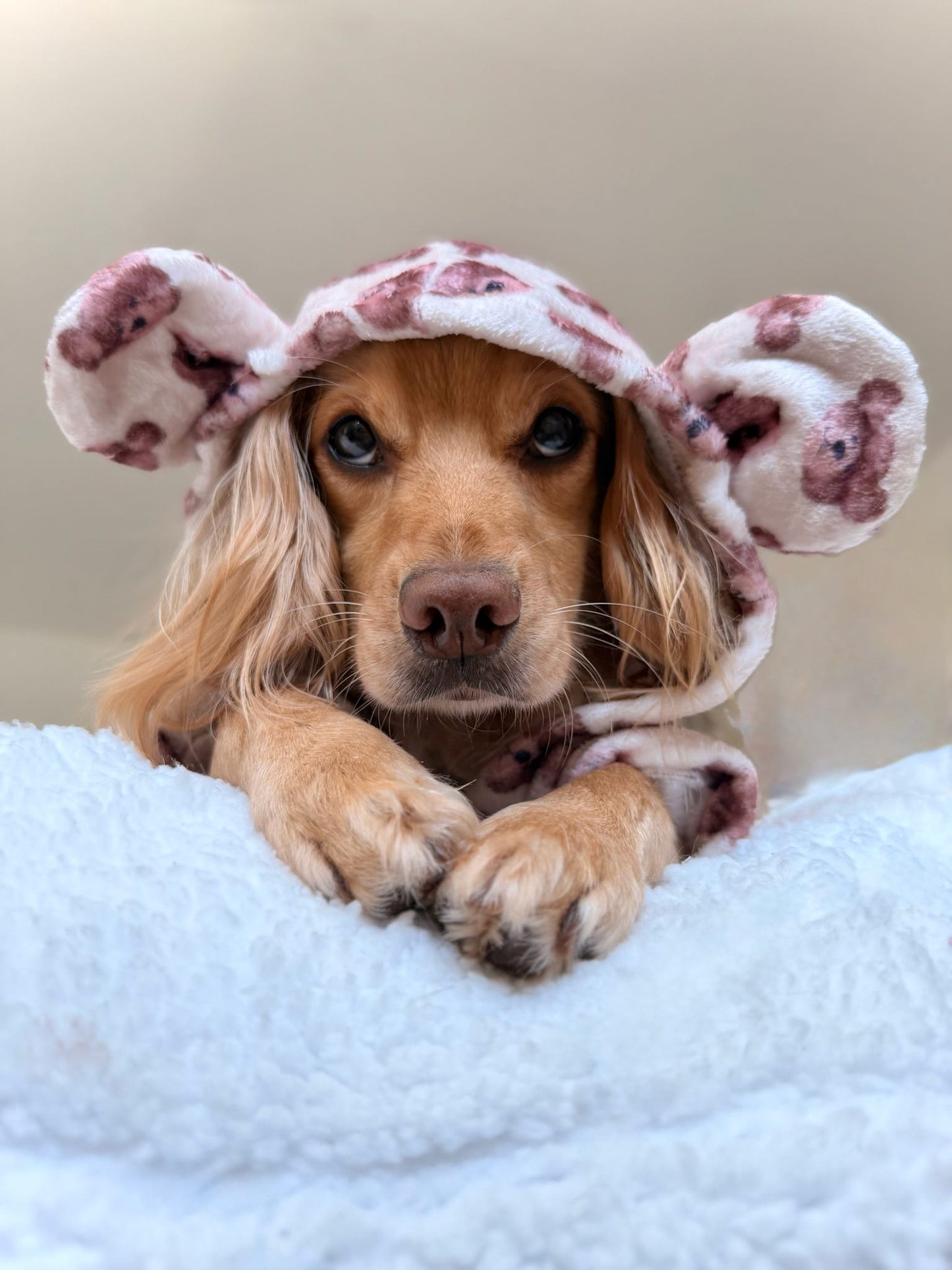 The Little Bear Cub Snuggle Fleece (With Hood & Ears)