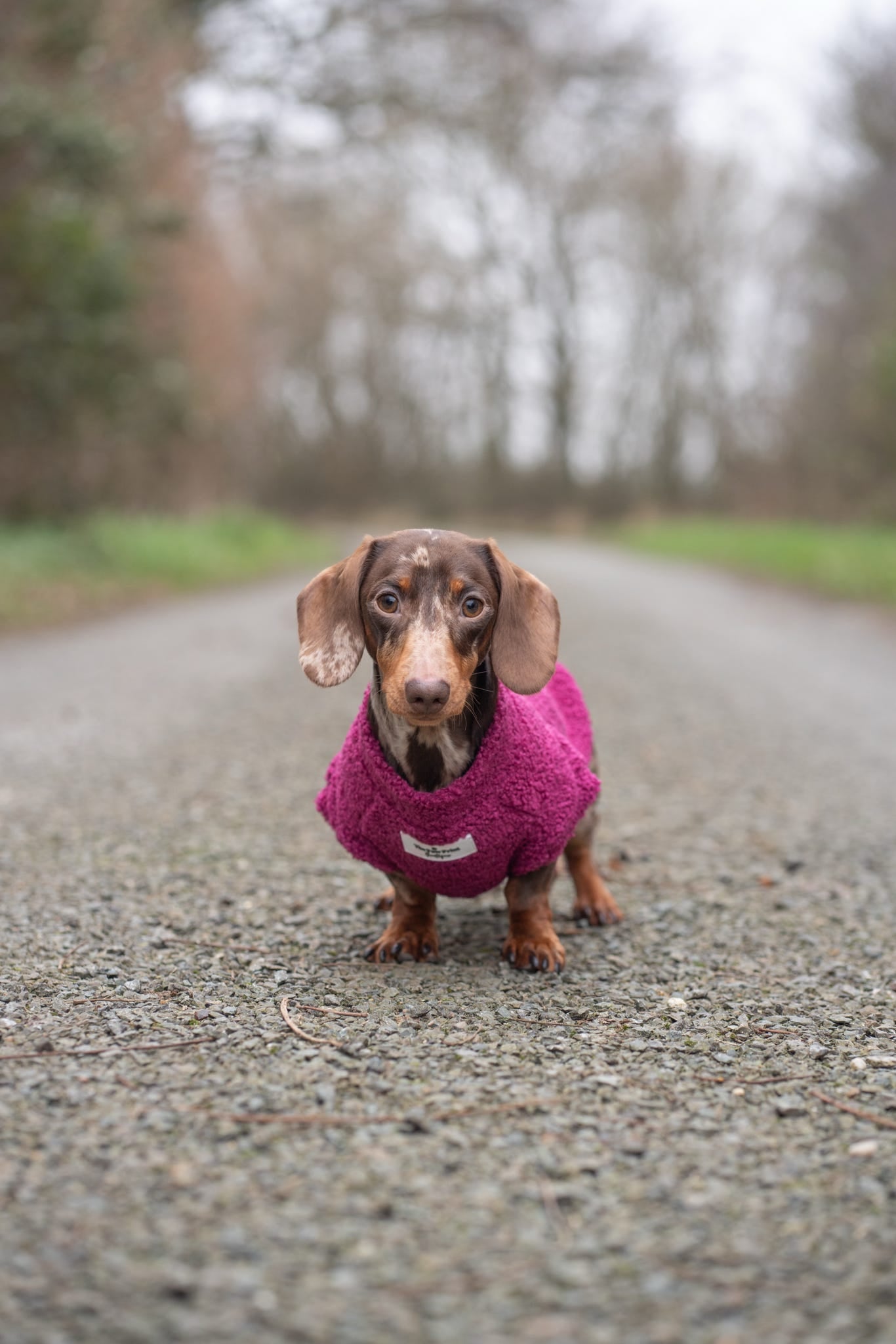 Teddy Fleece - Magenta