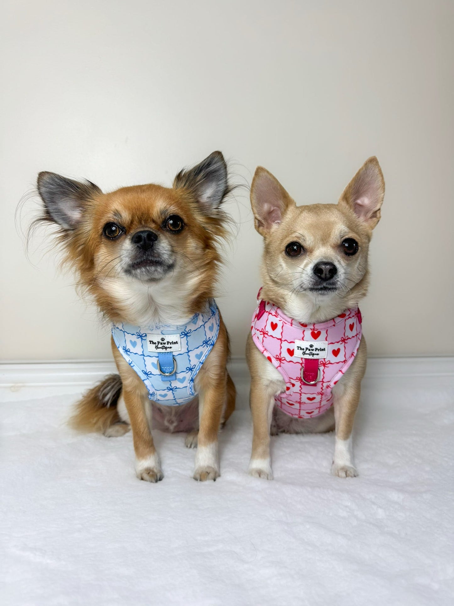 Pink Chequered Hearts Adjustable Harness