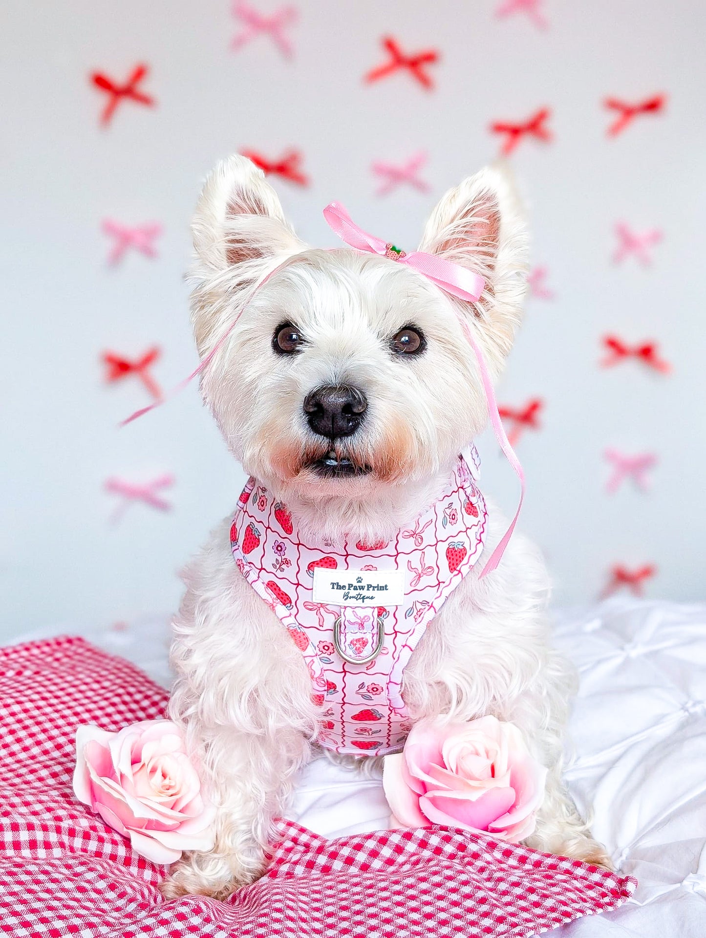 The Bows & Berries Adjustable Harness