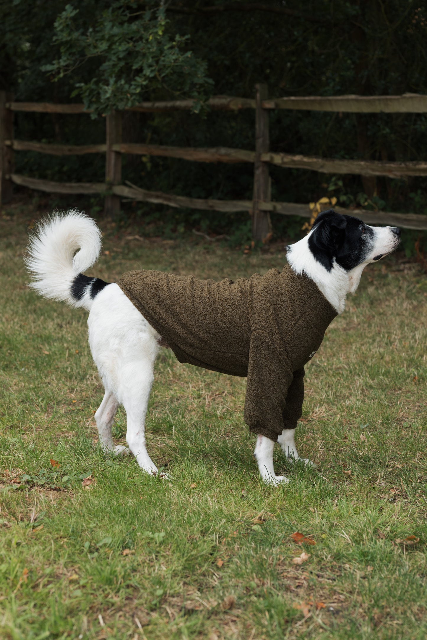 Teddy Fleece - Khaki