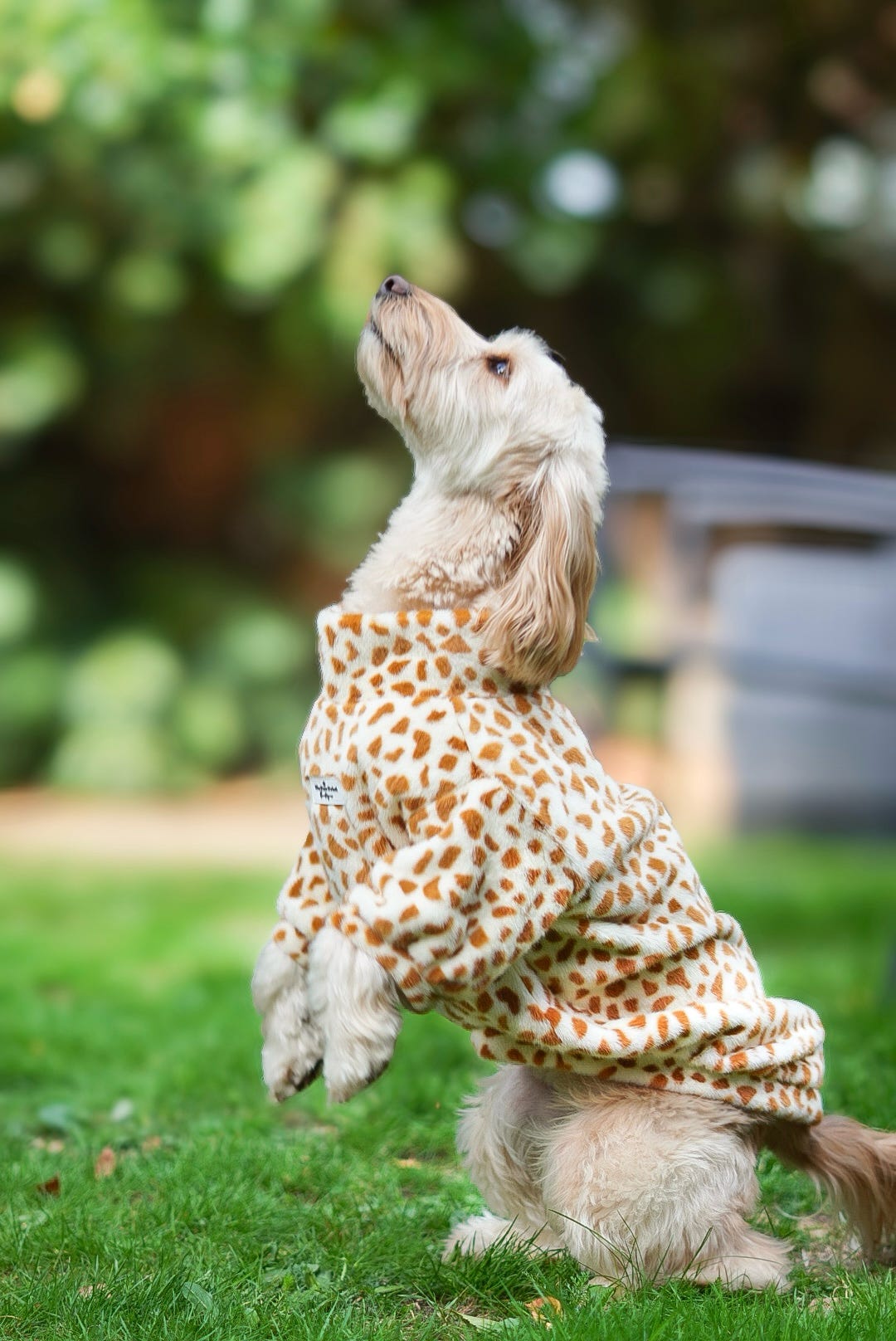 The Giraffe Print Fluffy & Fabulous Fleece