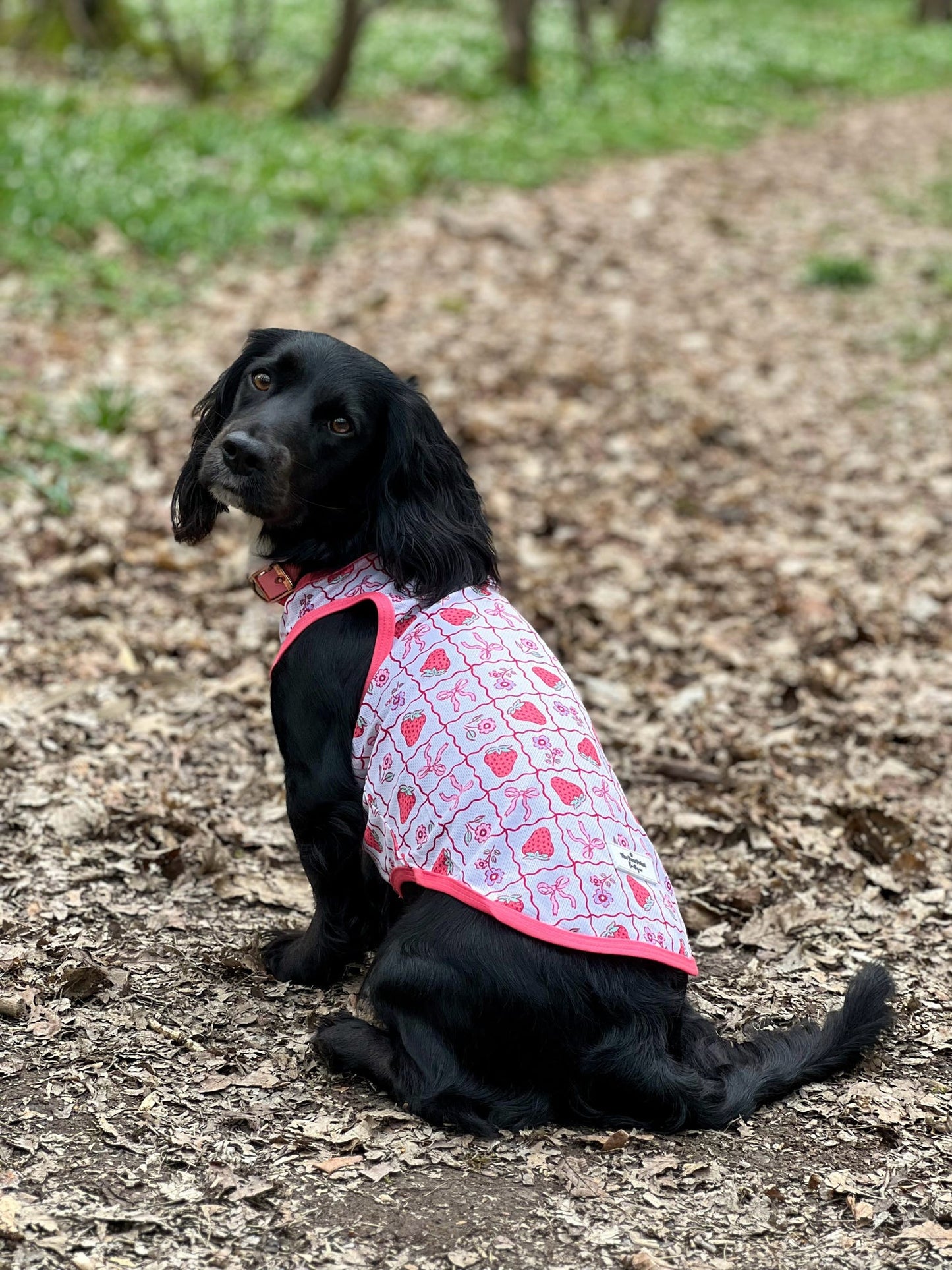 The Bows & Berries Cooling Vest