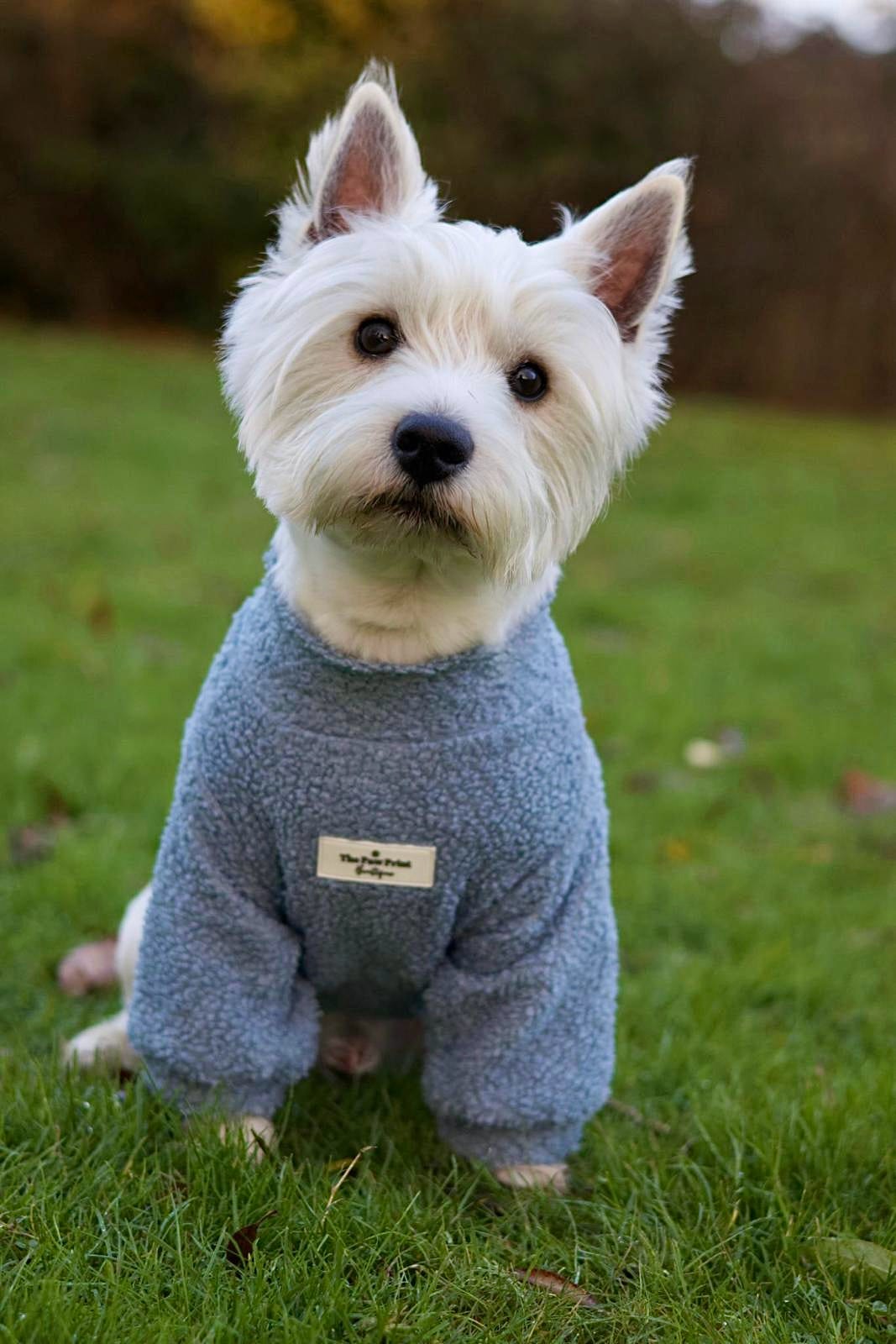 Teddy Fleece - Dusky Blue