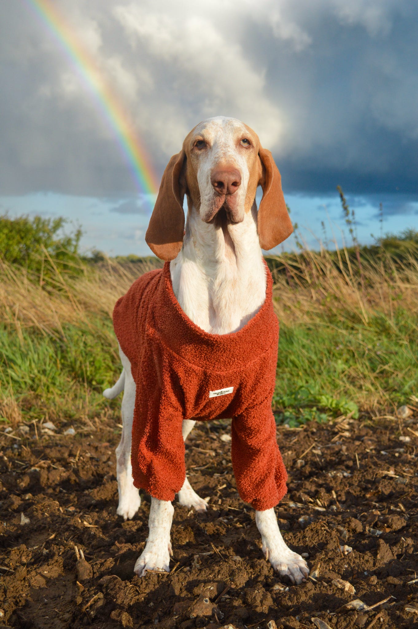 Teddy Fleece - Burnt Orange