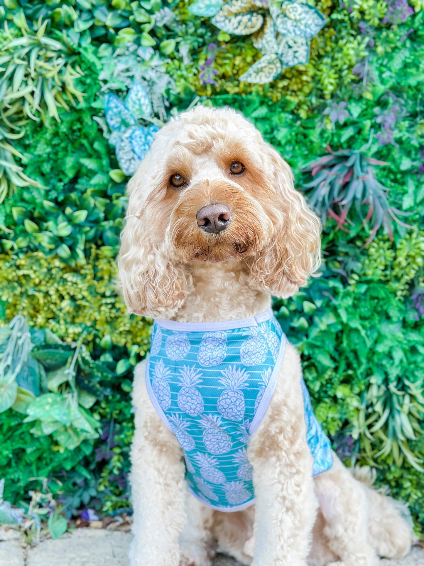 The Pineapple Pawty Cooling Vest