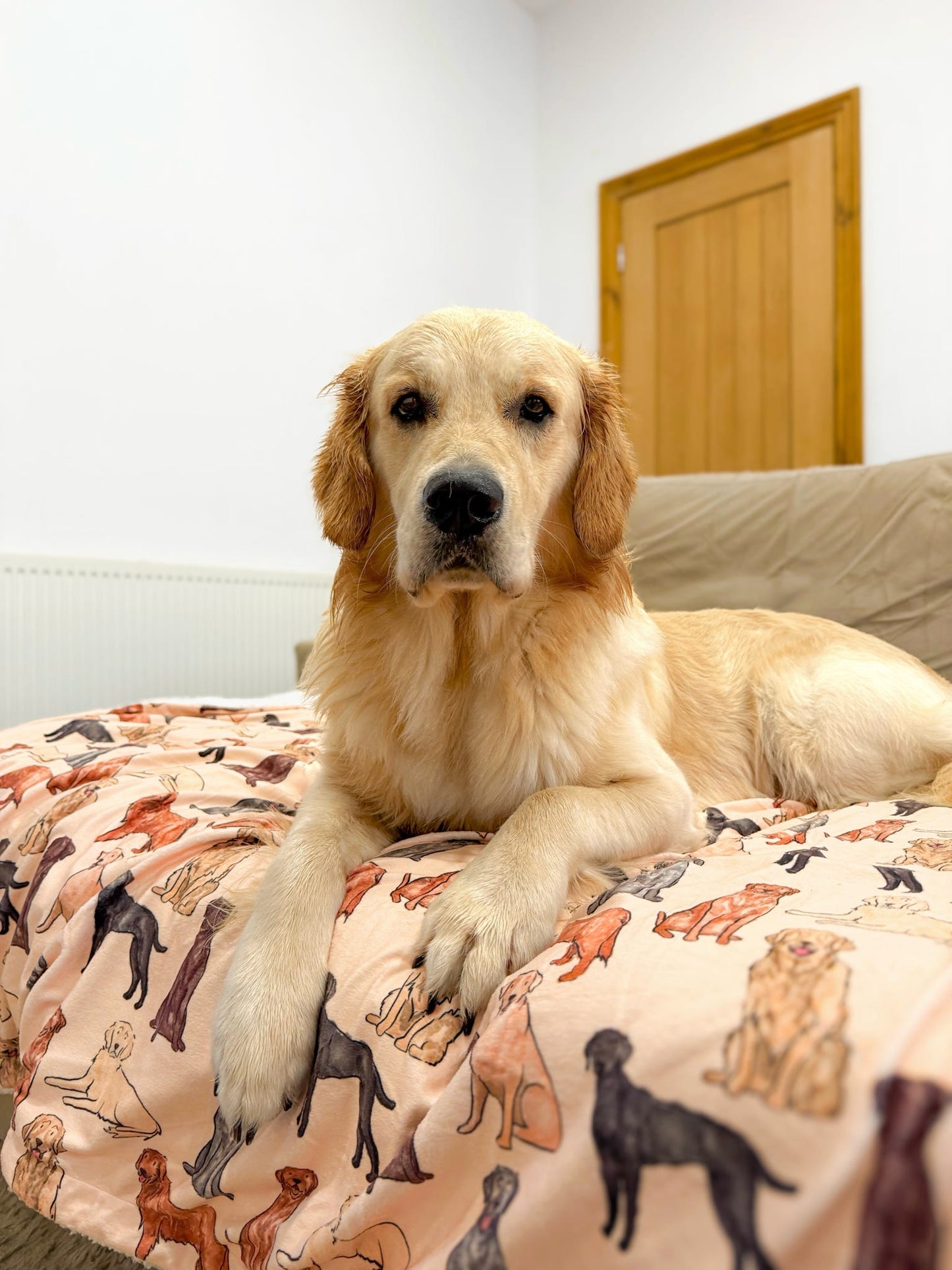 The Labrador / Retriever Dog Blanket