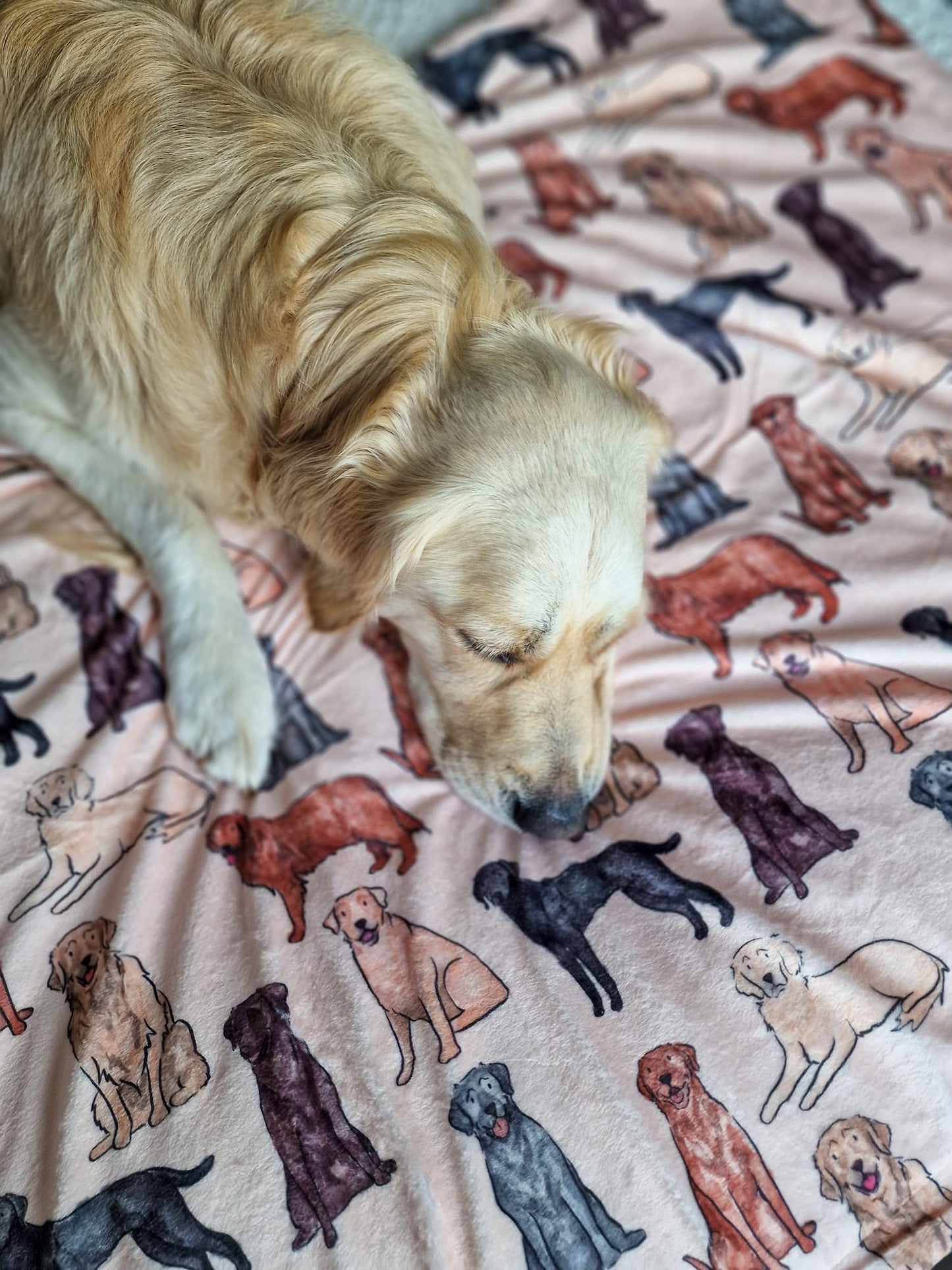The Labrador / Retriever Dog Blanket