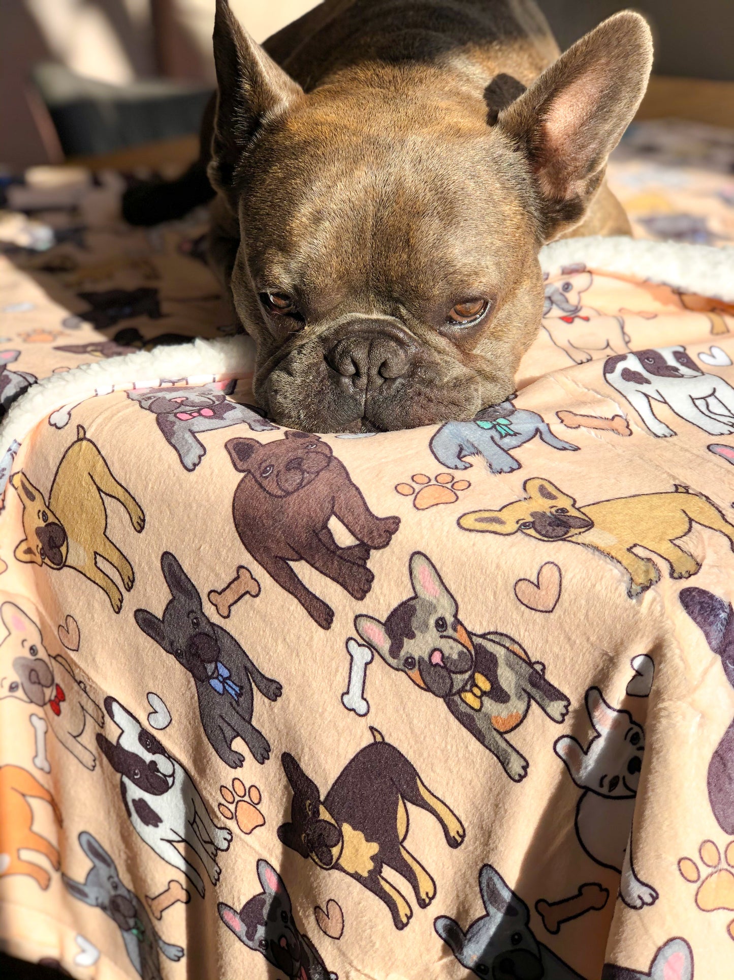 The French Bulldog Dog Blanket - Beige