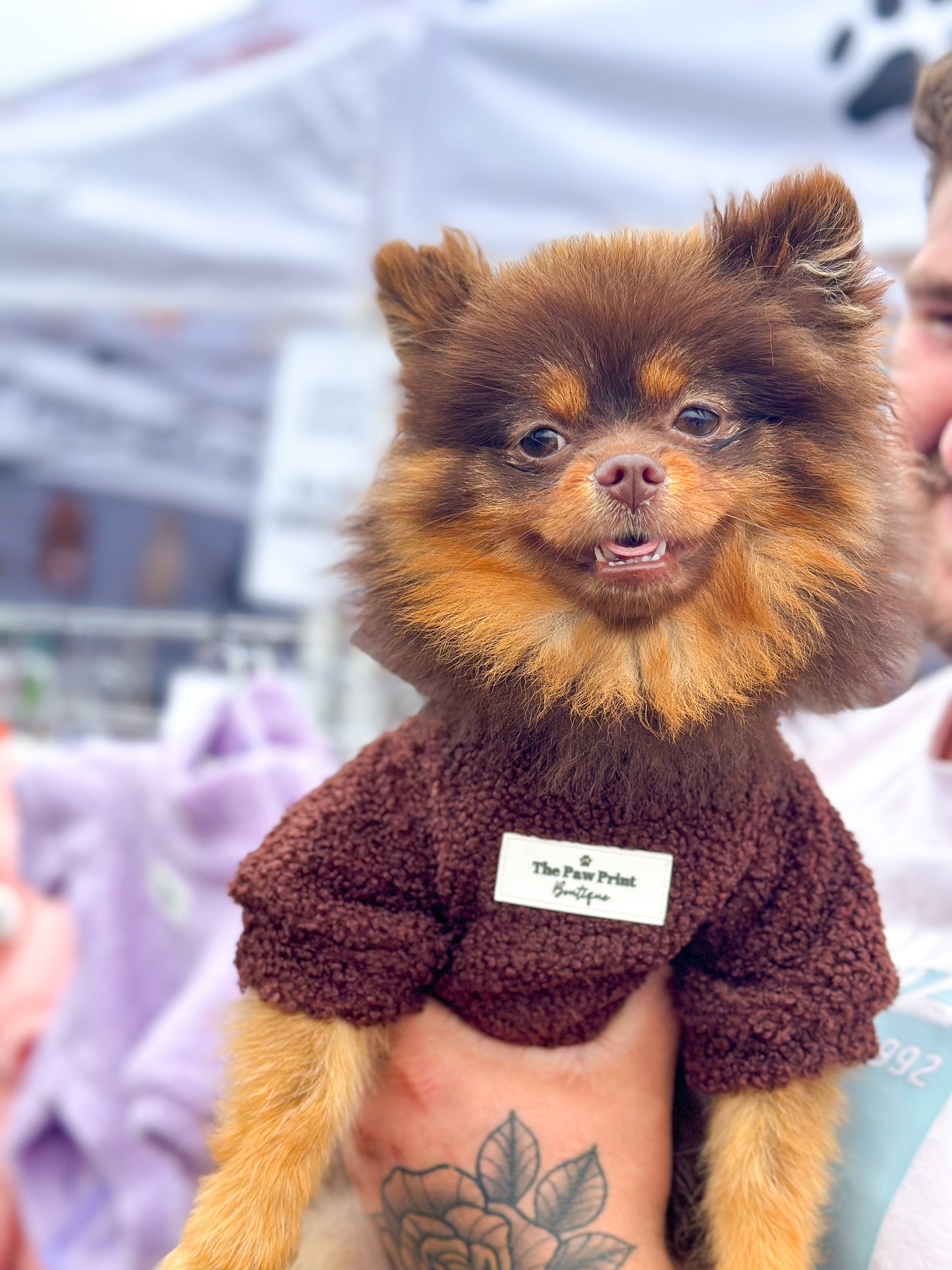 Teddy Fleece - Chocolate