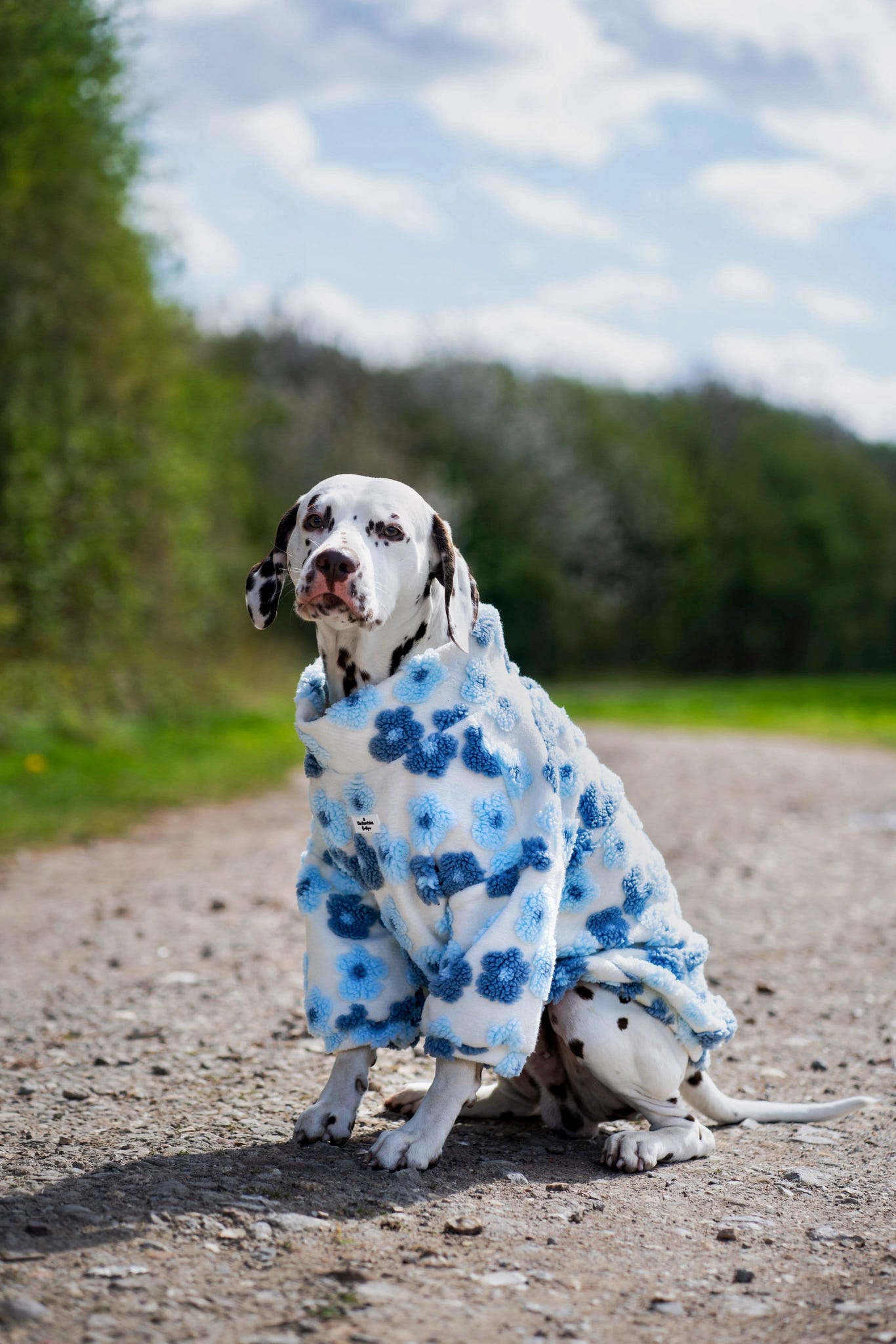 The Bluebell Blue Floral Fleece